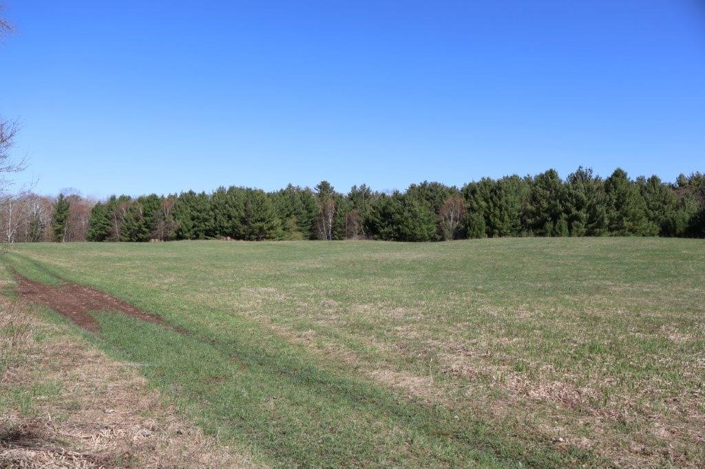 Tbd Us Highway 63 Property Photo 28