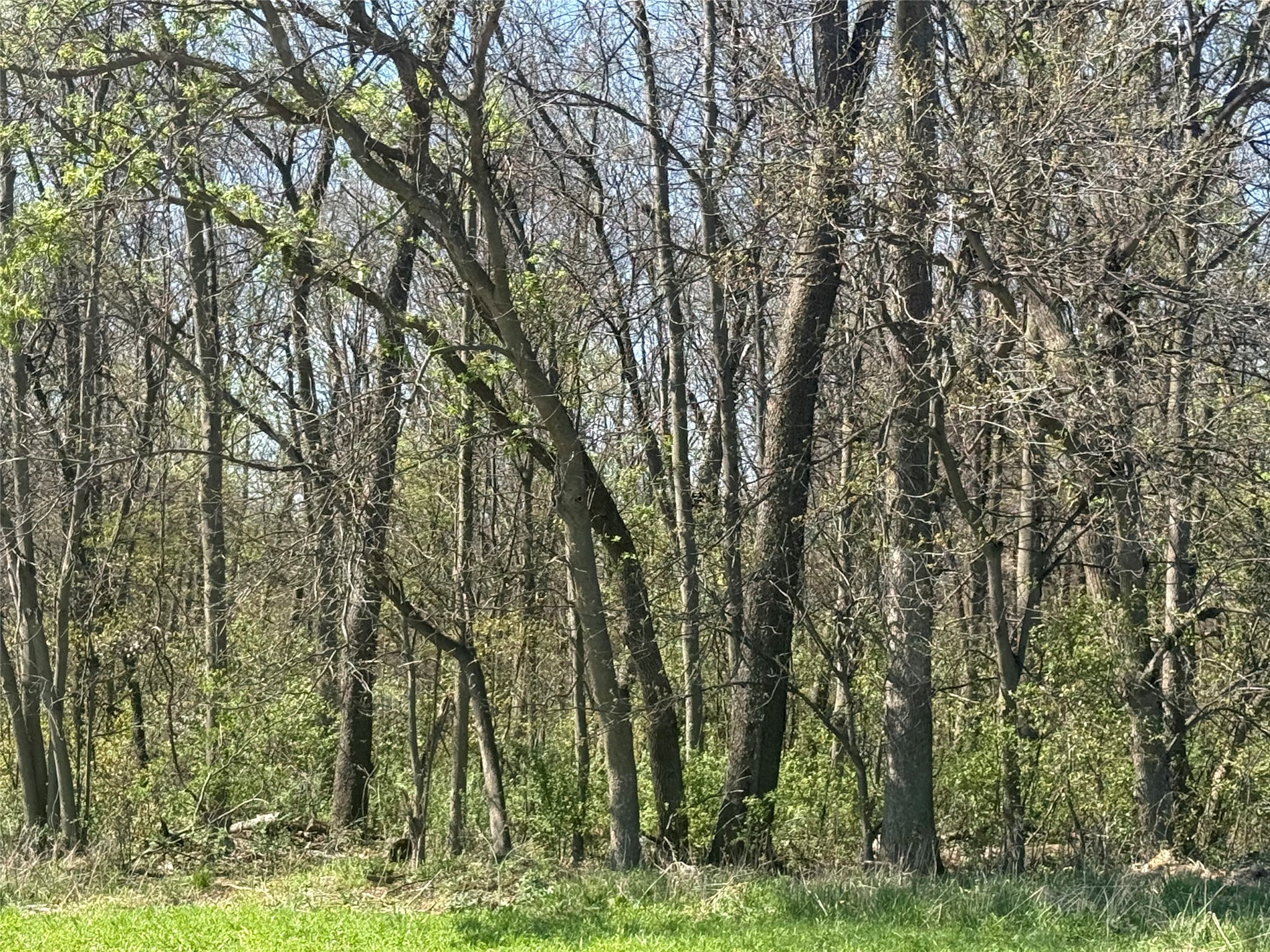 00 County Road Cc Property Photo 11
