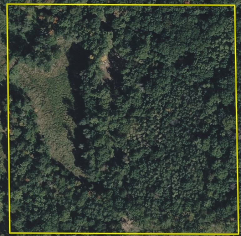 Tbd Barrett Trail Property Photo 2