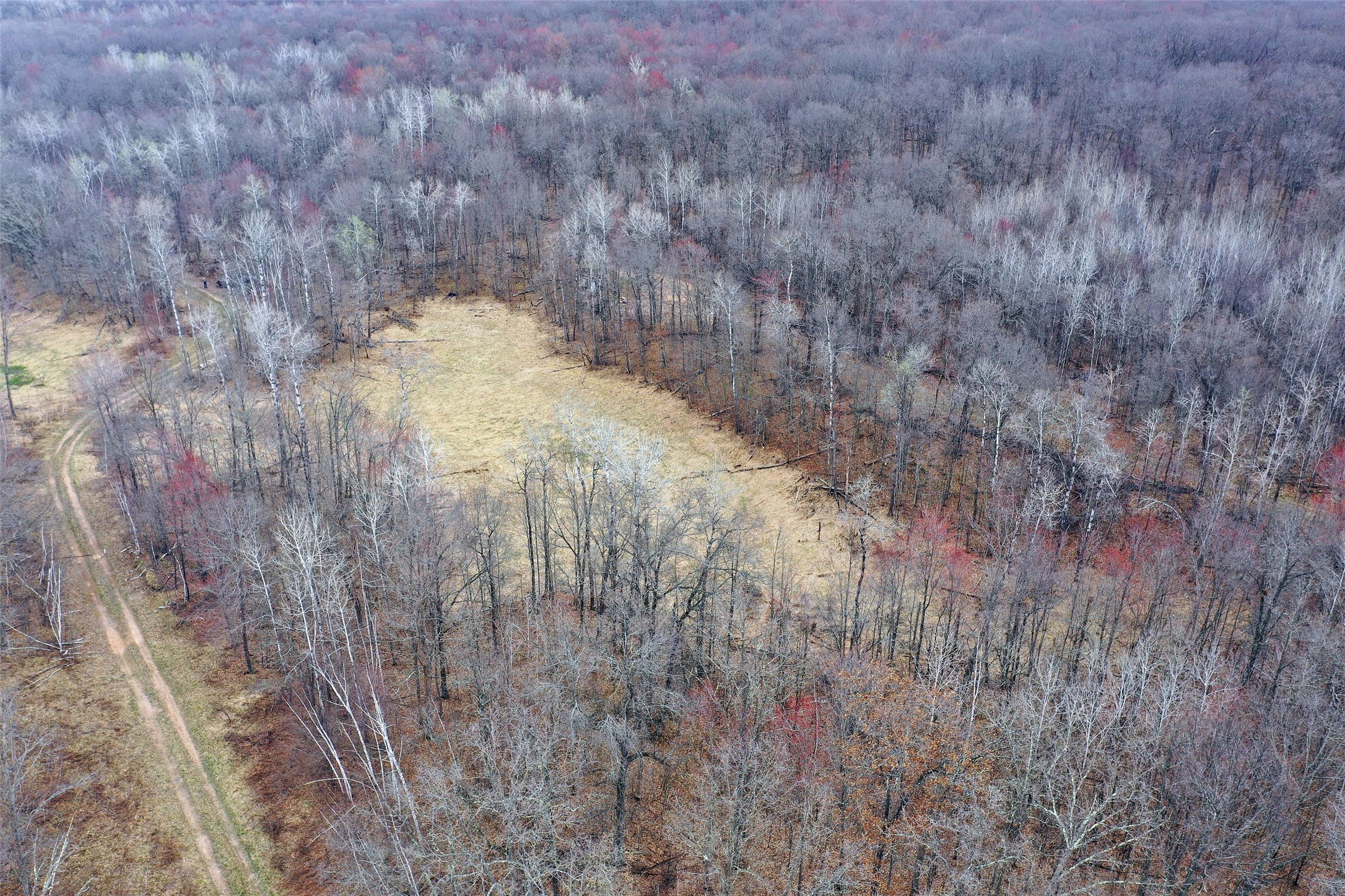 Tbd Barrett Trail Property Photo 4