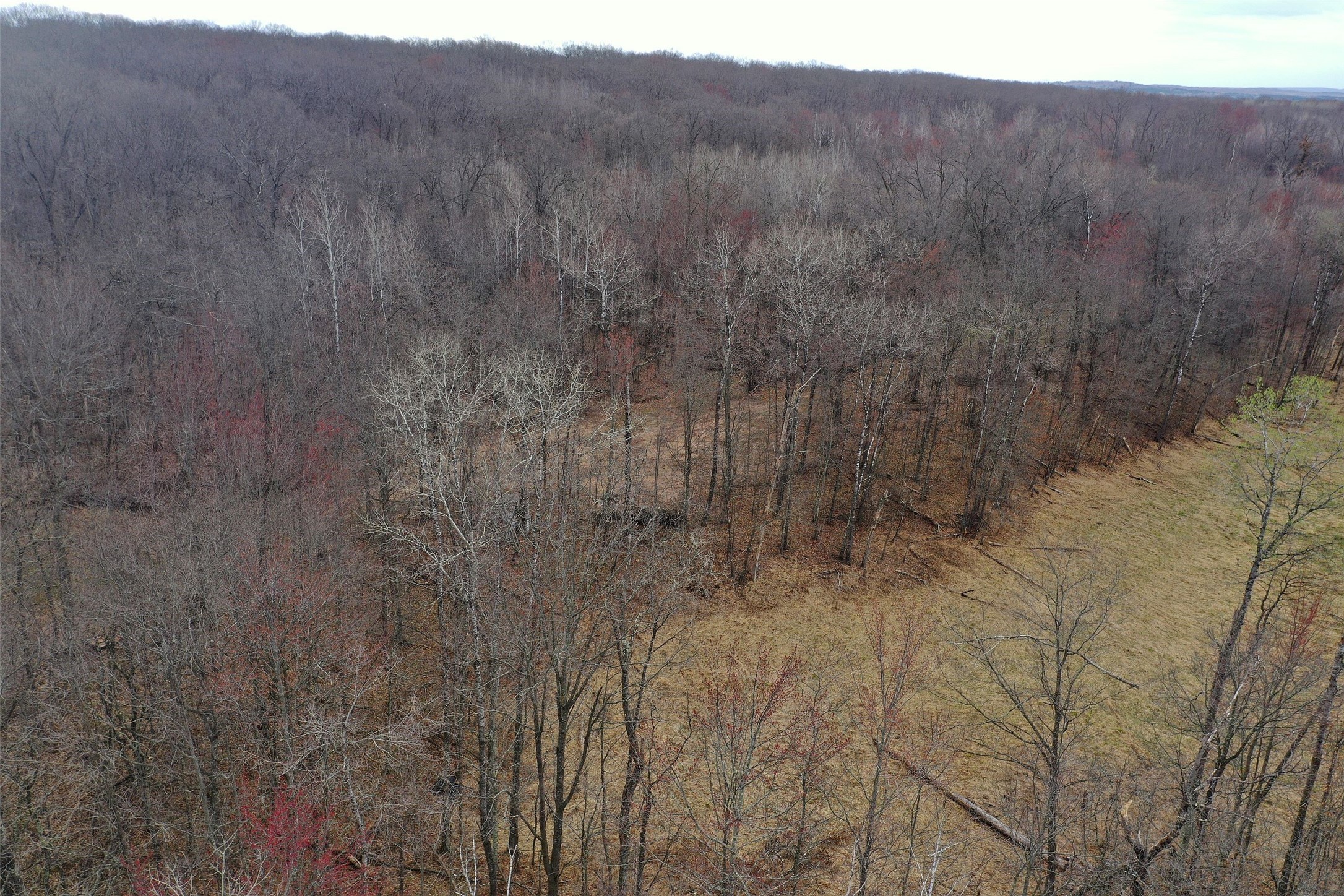 Tbd Barrett Trail Property Photo 6