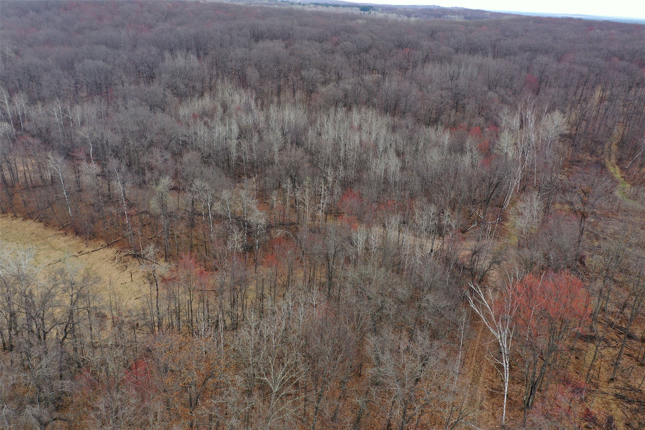 Tbd Barrett Trail Property Photo 8