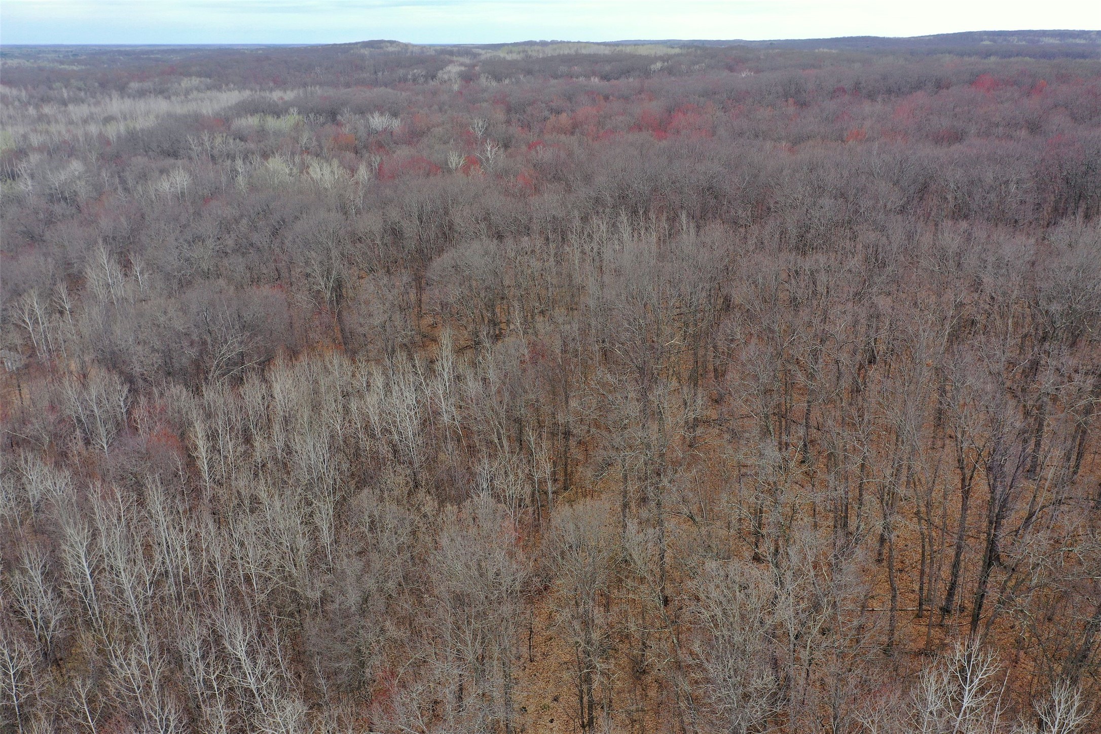 Tbd Barrett Trail Property Photo 10