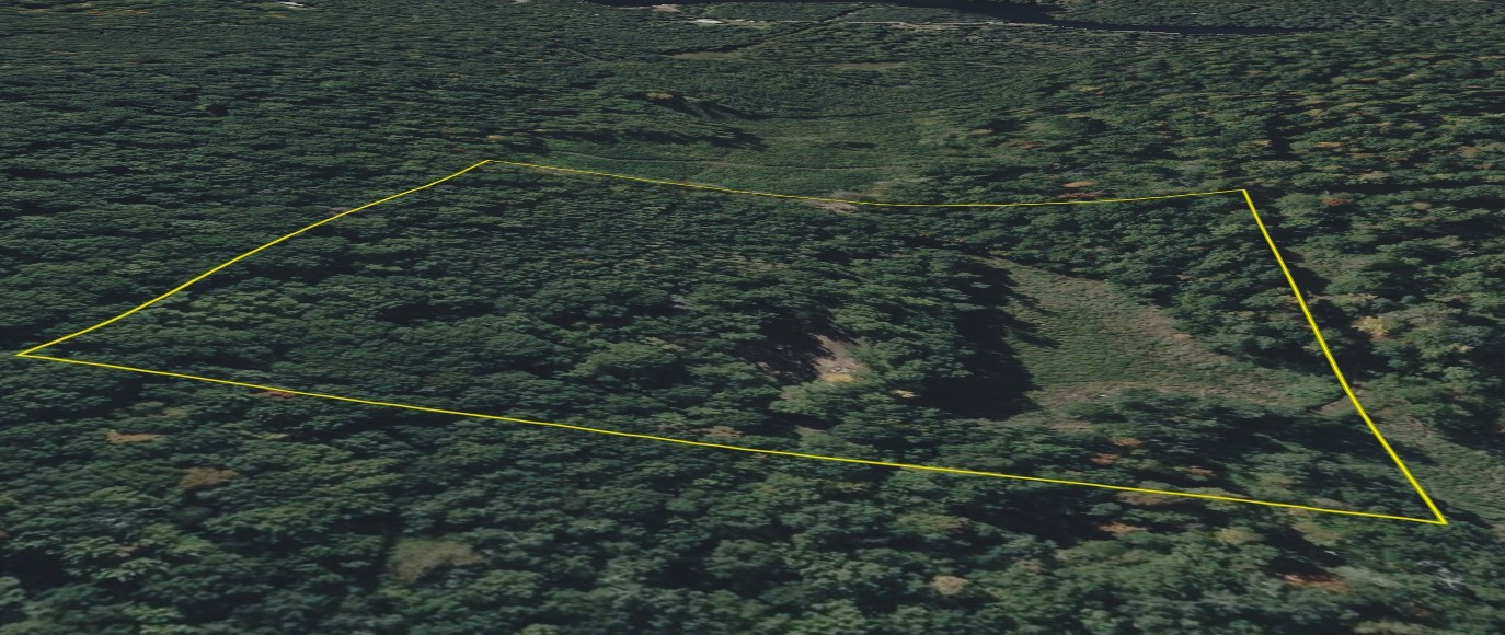 Tbd Barrett Trail Property Photo 11
