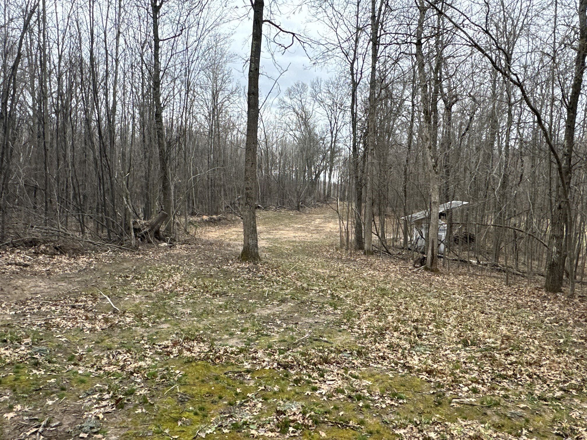 Tbd Barrett Trail Property Photo 12