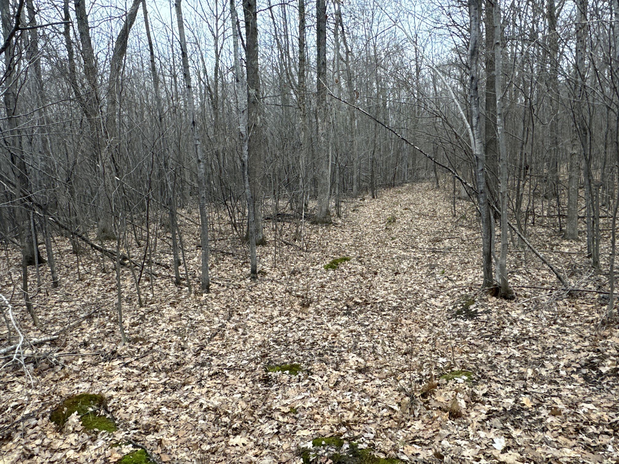 Tbd Barrett Trail Property Photo 14