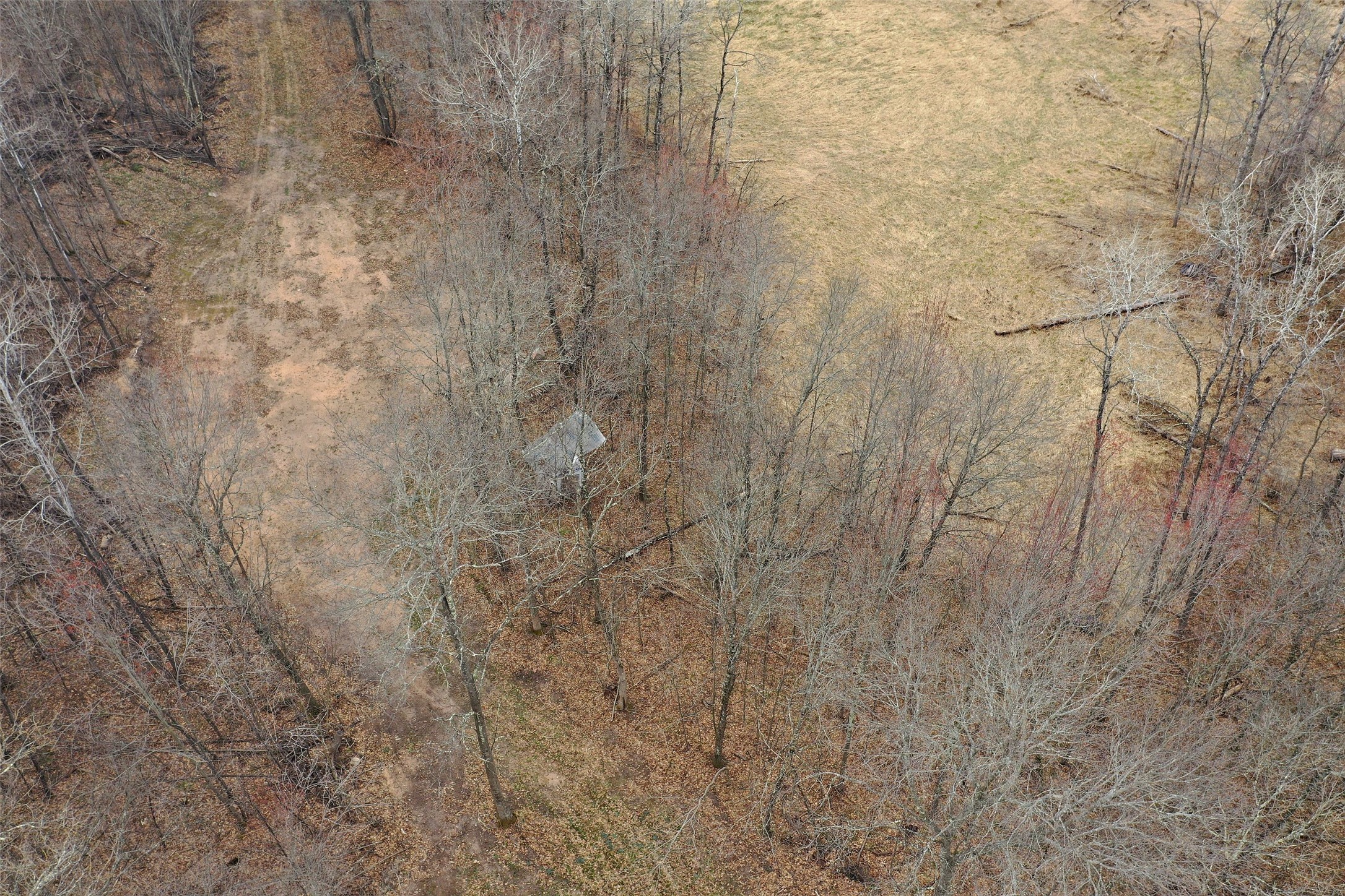 Tbd Barrett Trail Property Photo 18
