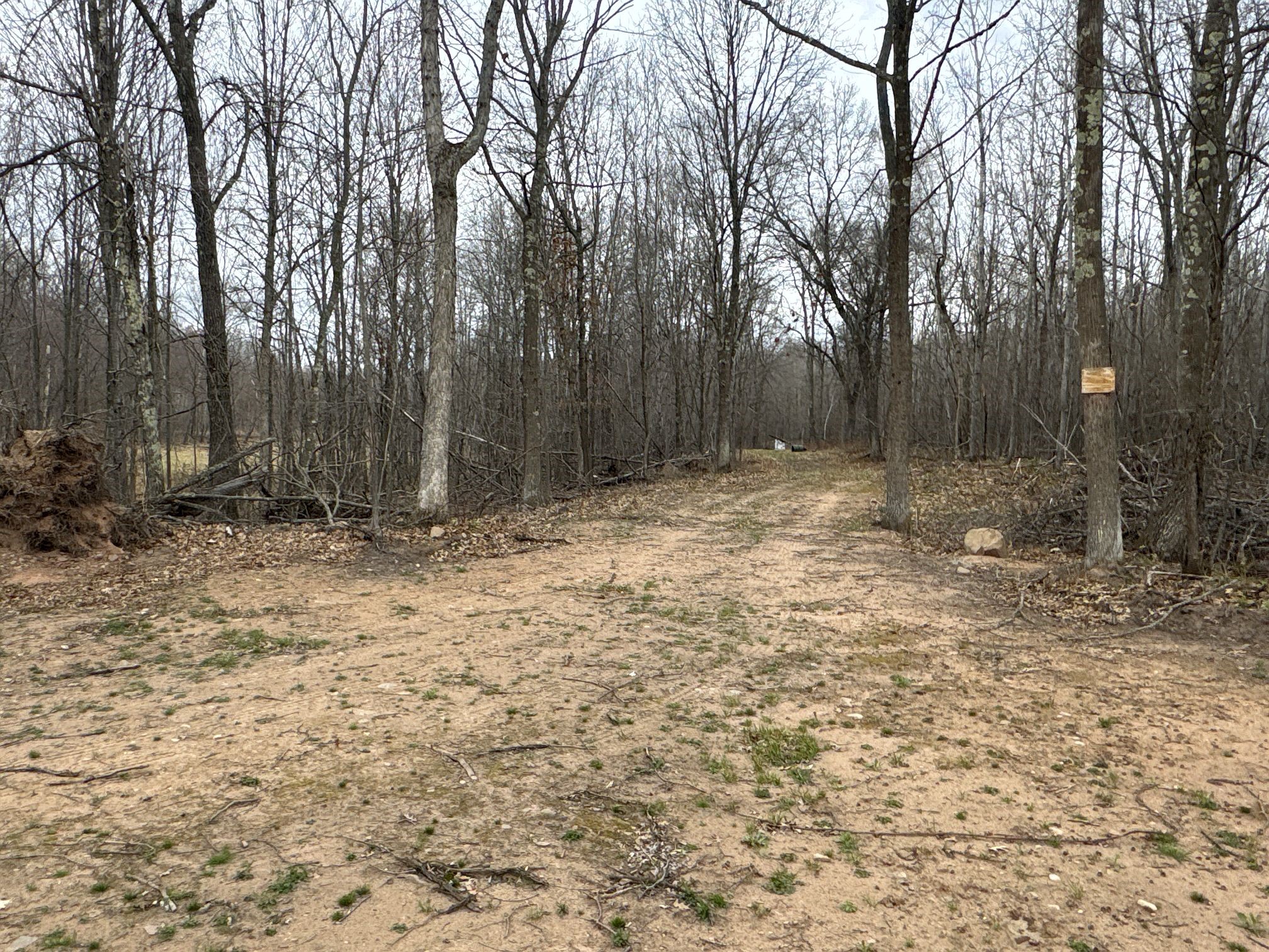 Tbd Barrett Trail Property Photo 19