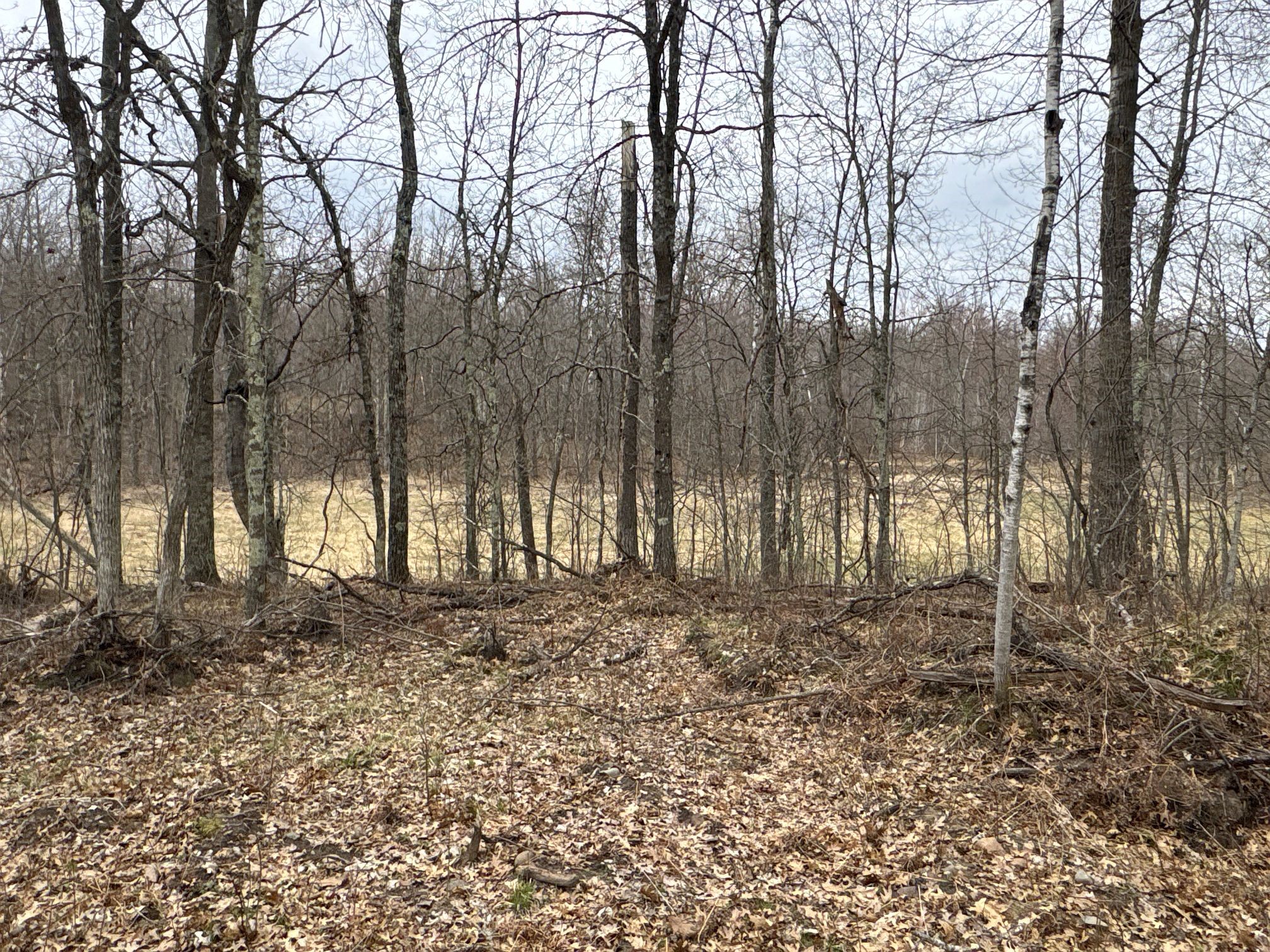 Tbd Barrett Trail Property Photo 20