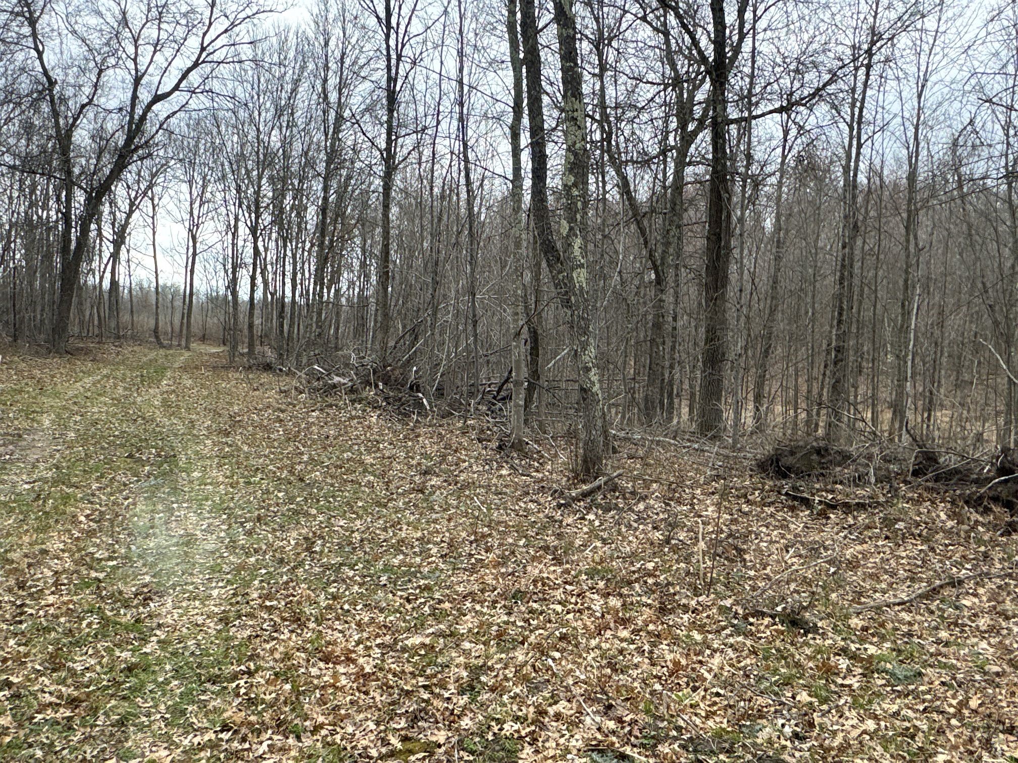 Tbd Barrett Trail Property Photo 21