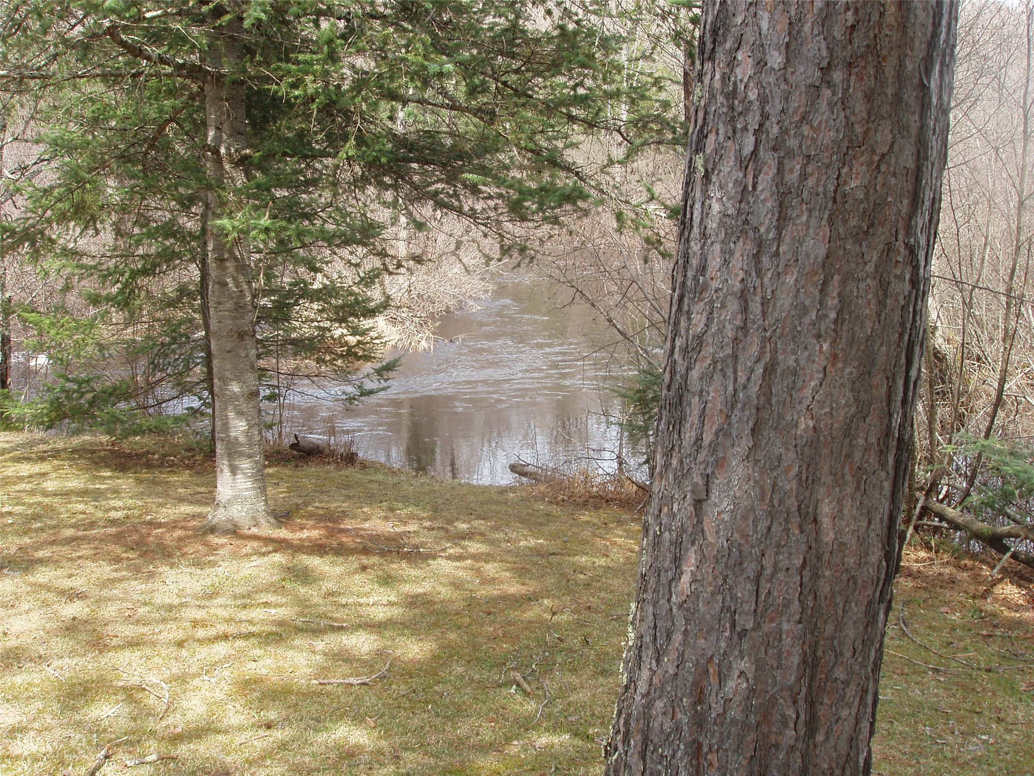 W9798 Fleming Road Property Photo 12