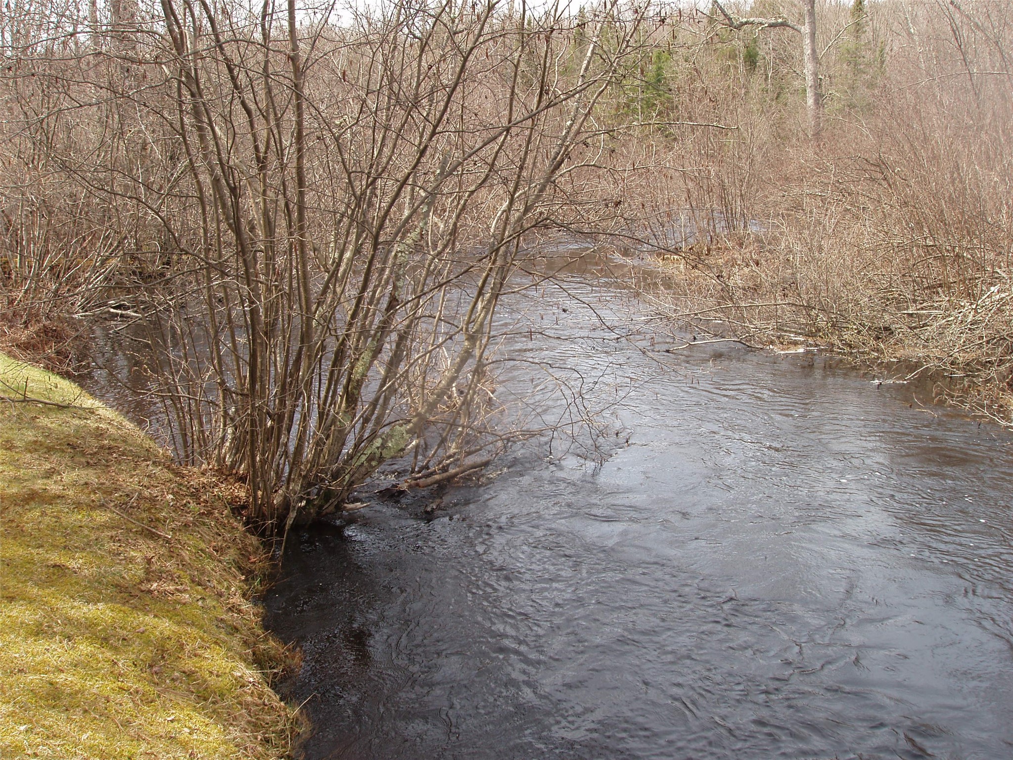 W9798 Fleming Road Property Photo 13