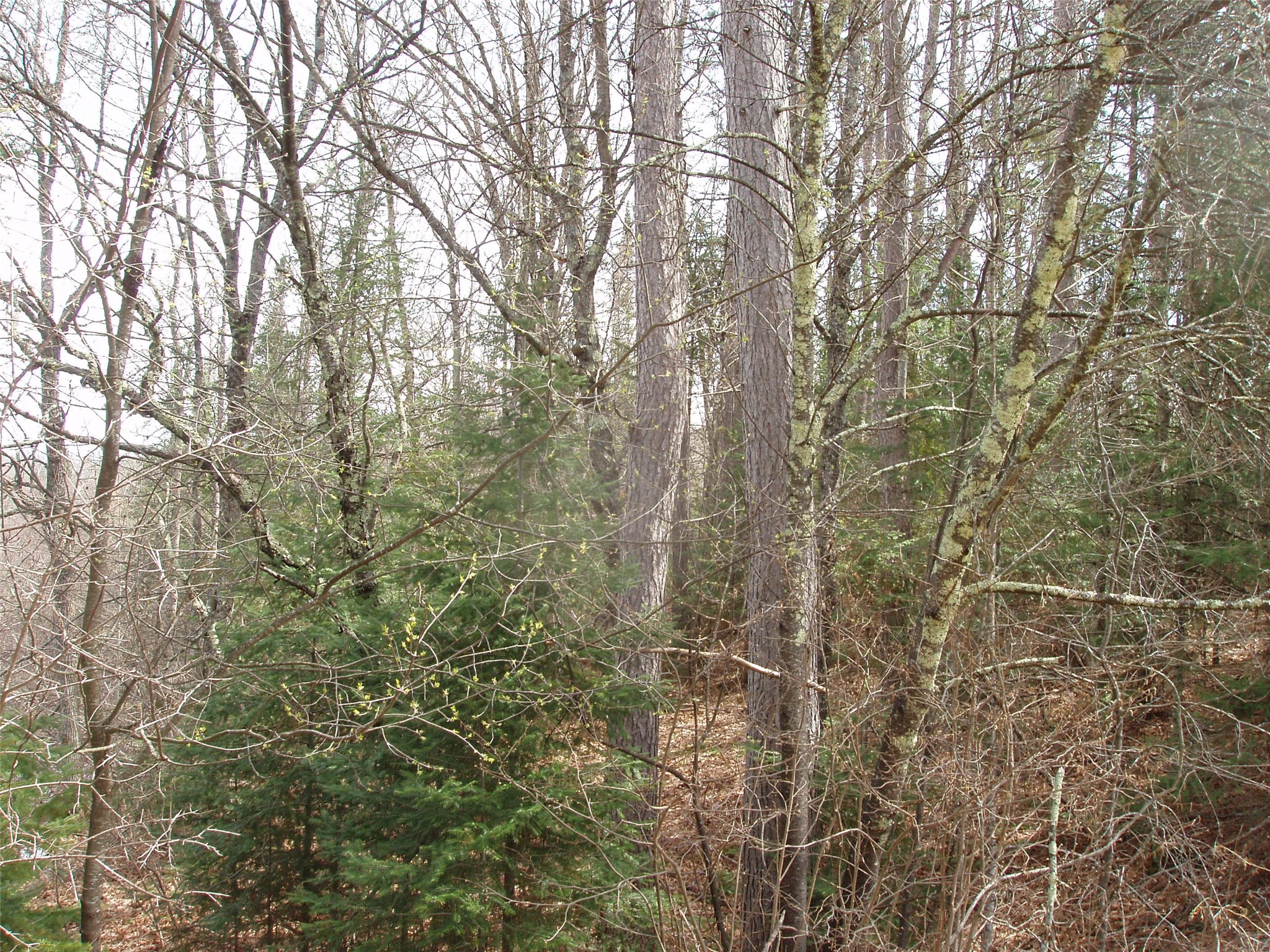 W9798 Fleming Road Property Photo 14