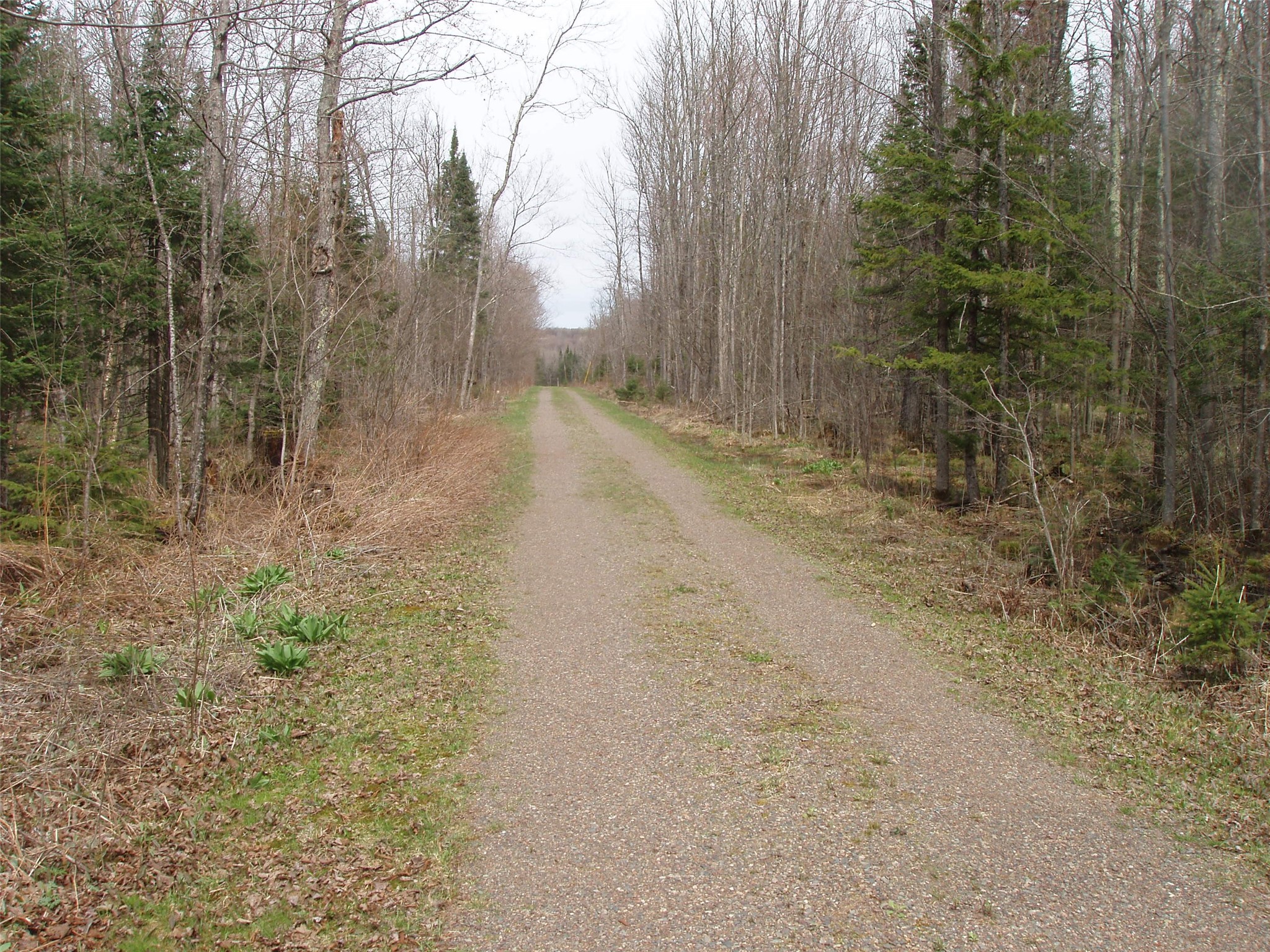 W9798 Fleming Road Property Photo 16
