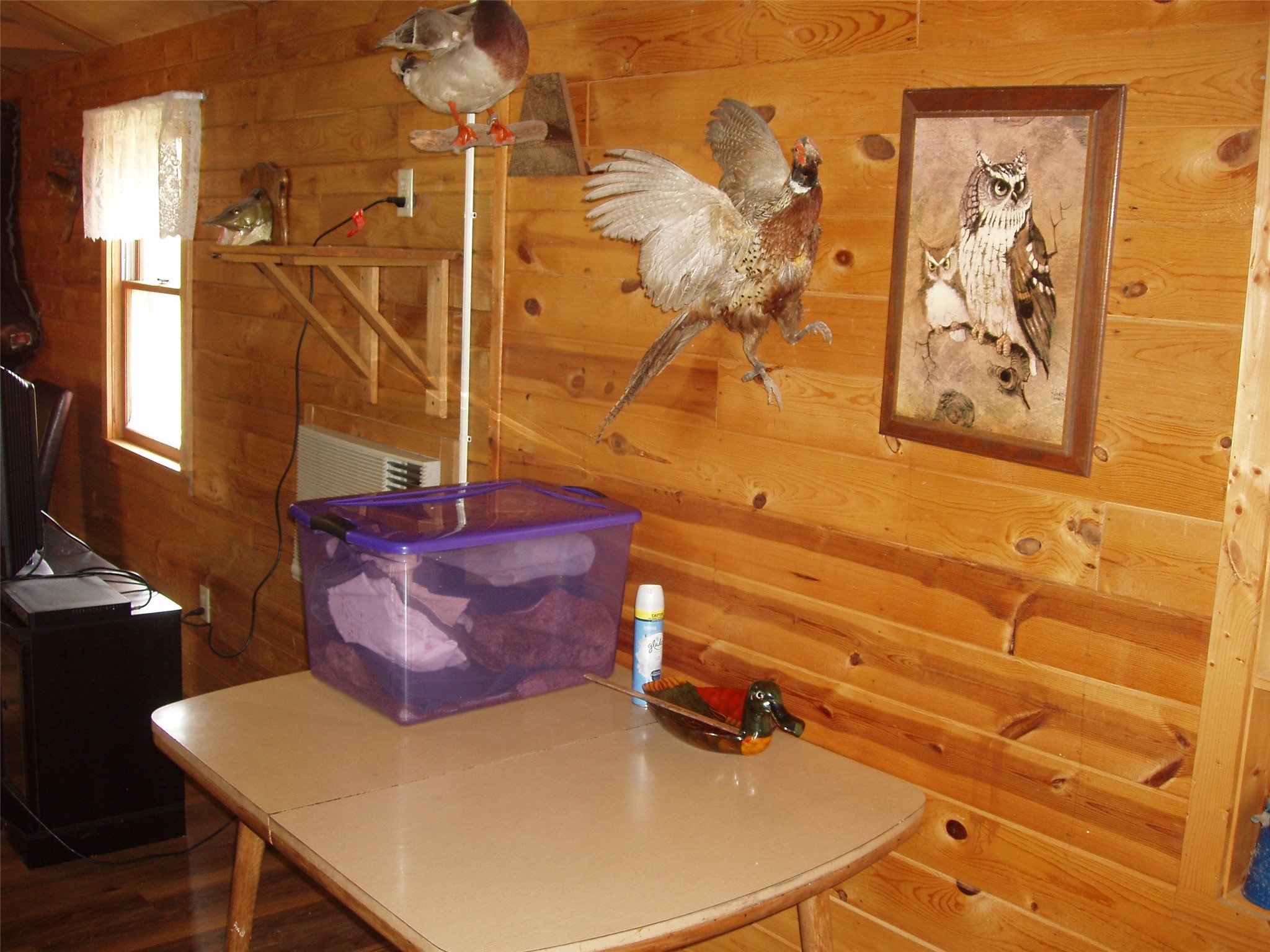 W9798 Fleming Road Property Photo 28