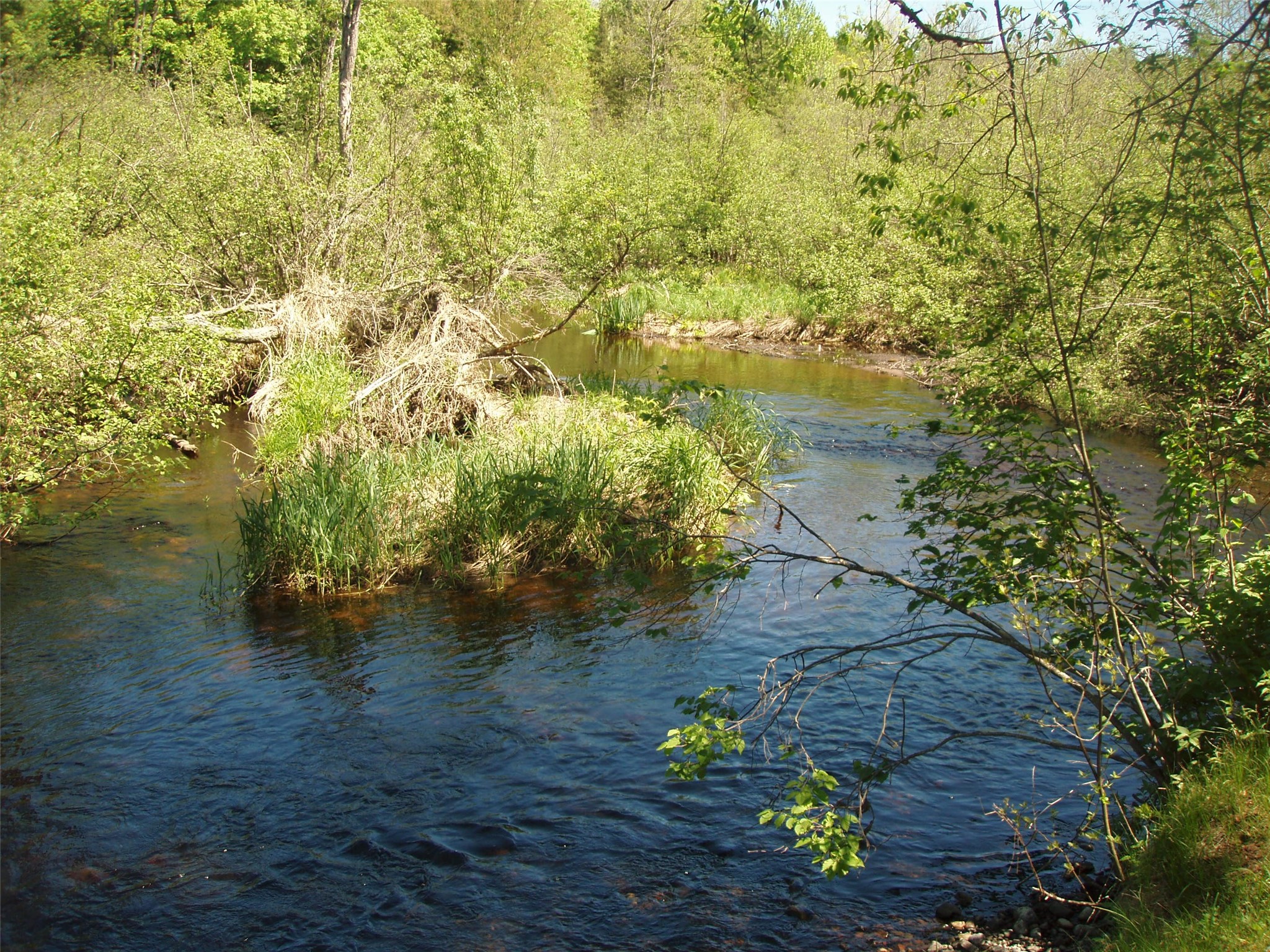 W9798 Fleming Road Property Photo 52