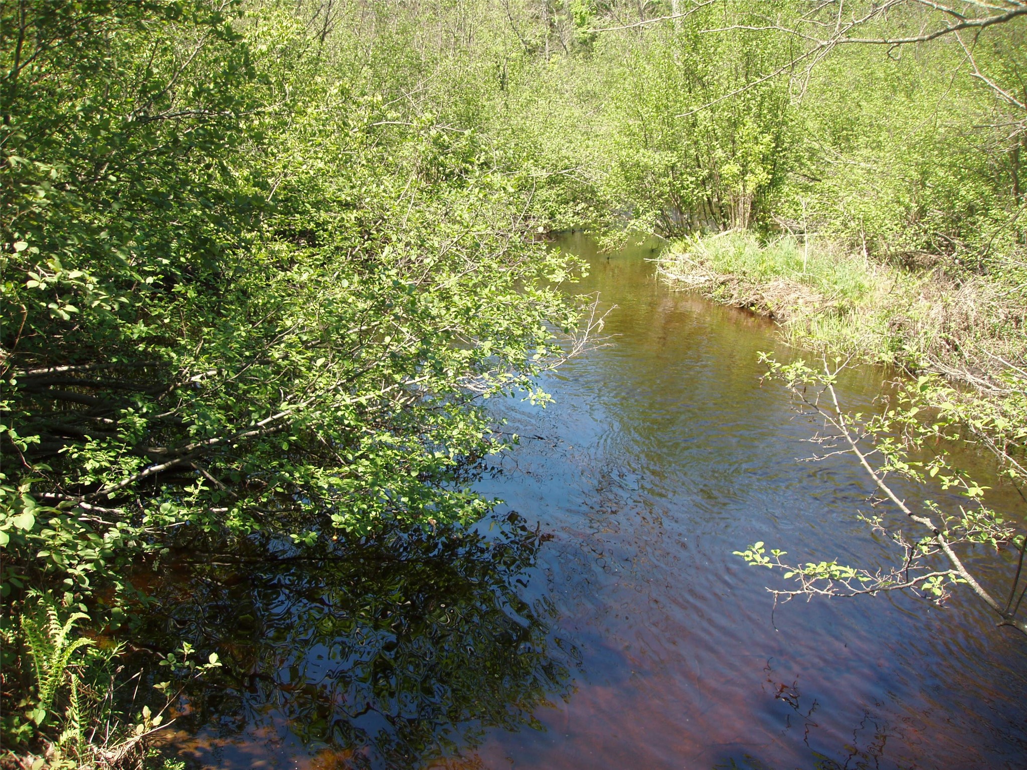 W9798 Fleming Road Property Photo 53