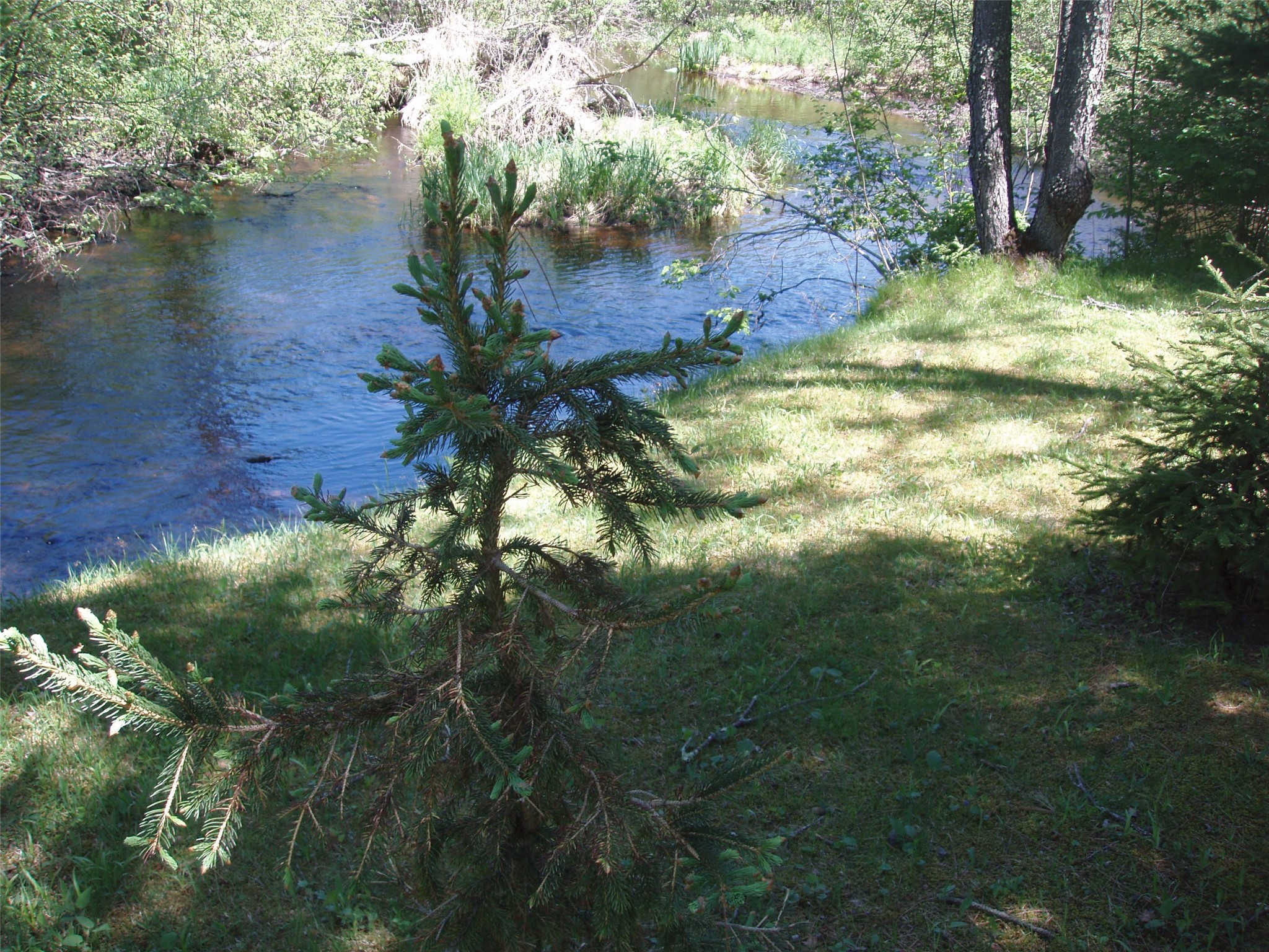 W9798 Fleming Road Property Photo 54