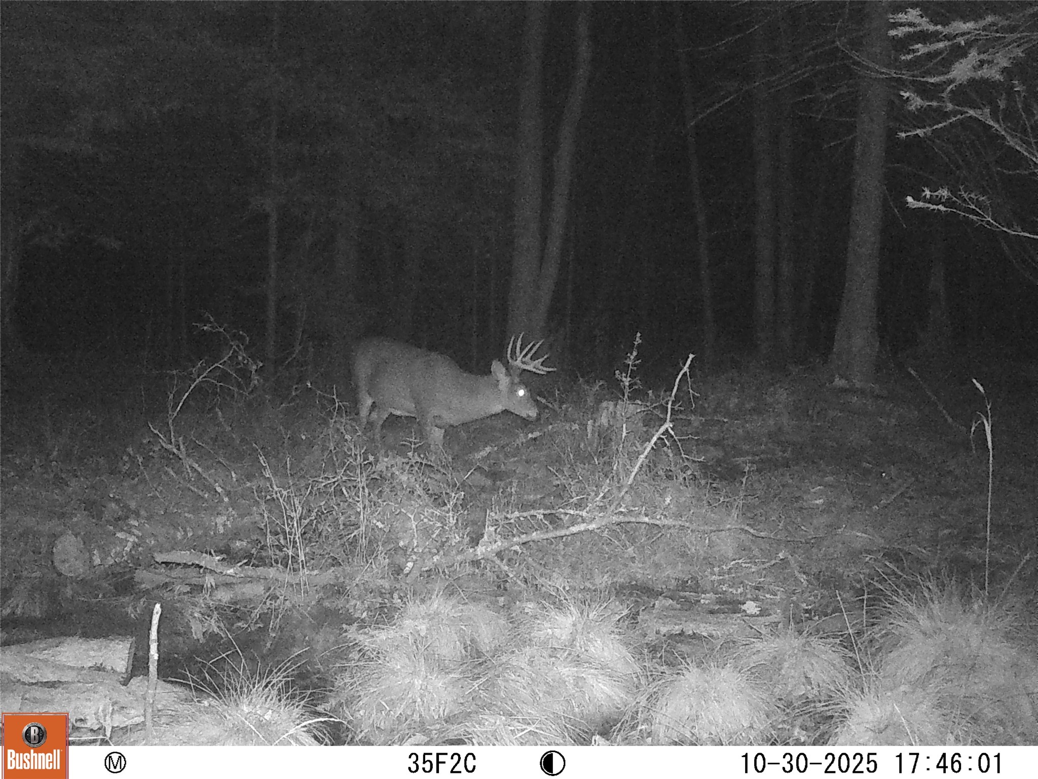 W9798 Fleming Road Property Photo 58