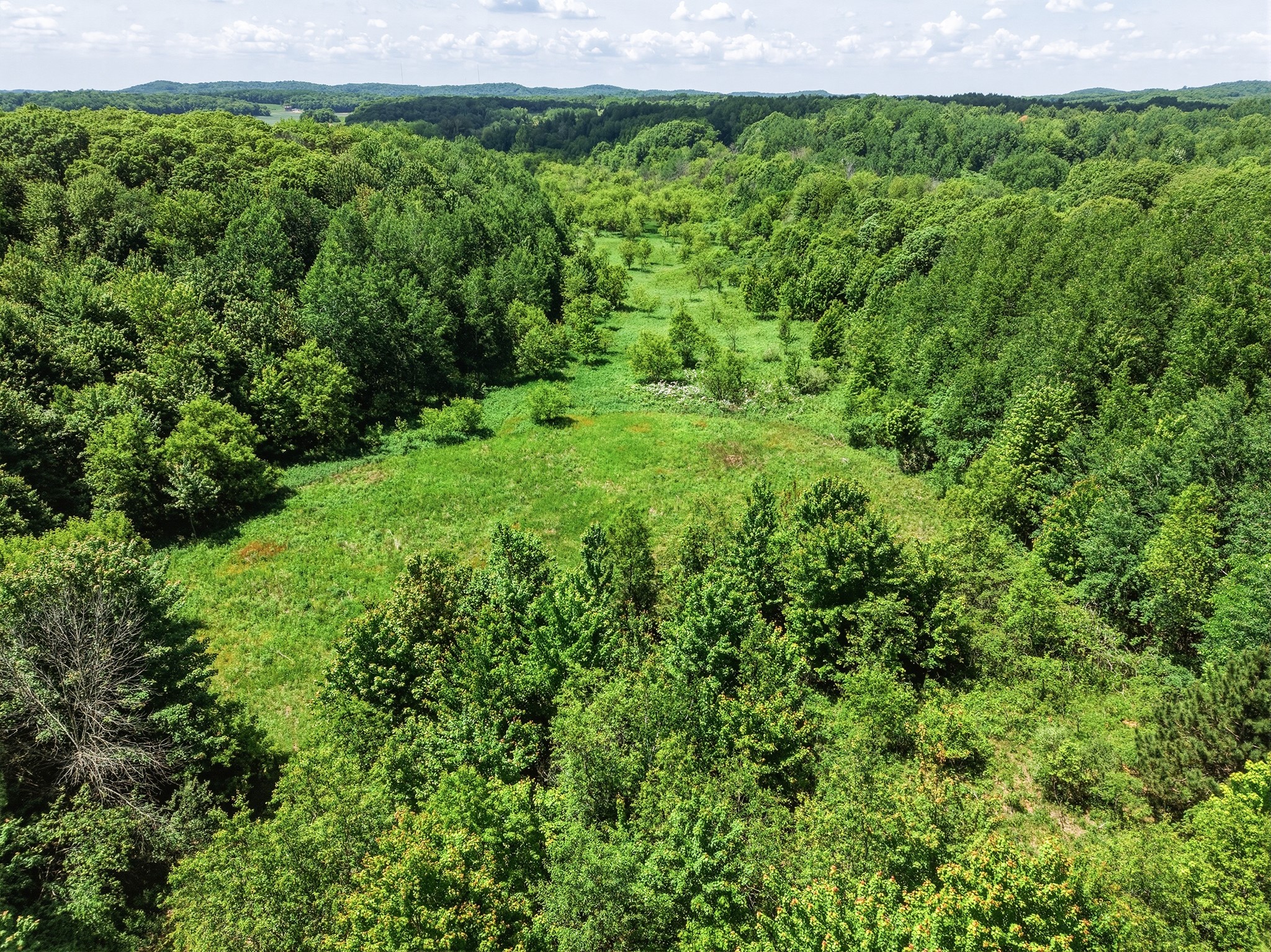 31.69 Acres 80th Avenue Property Photo 13