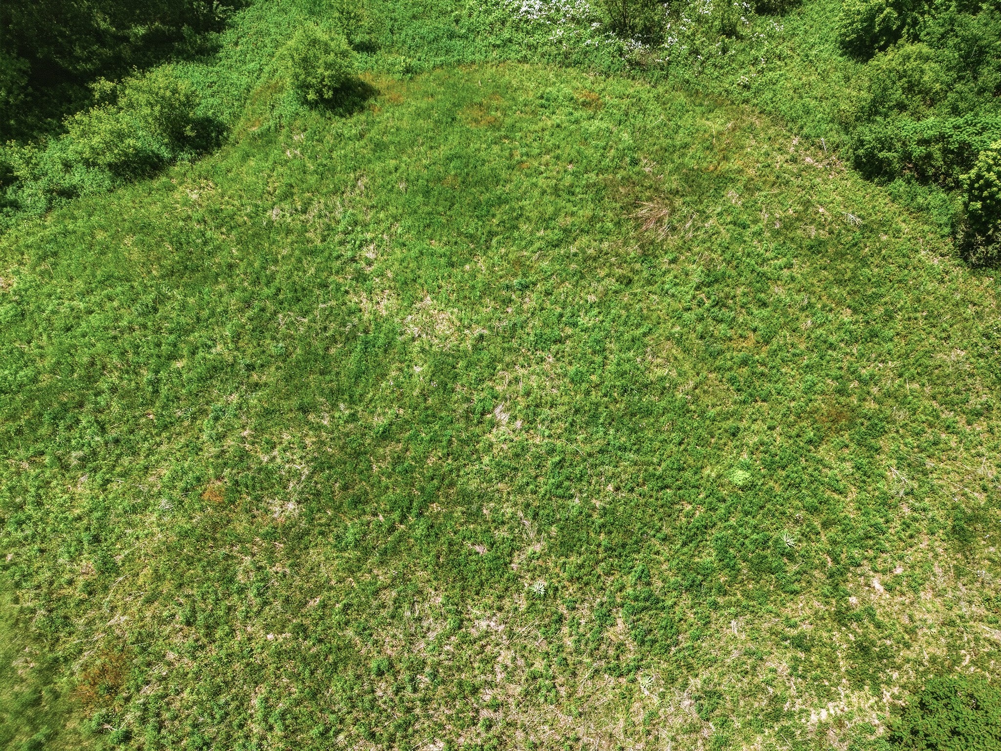 31.69 Acres 80th Avenue Property Photo 14