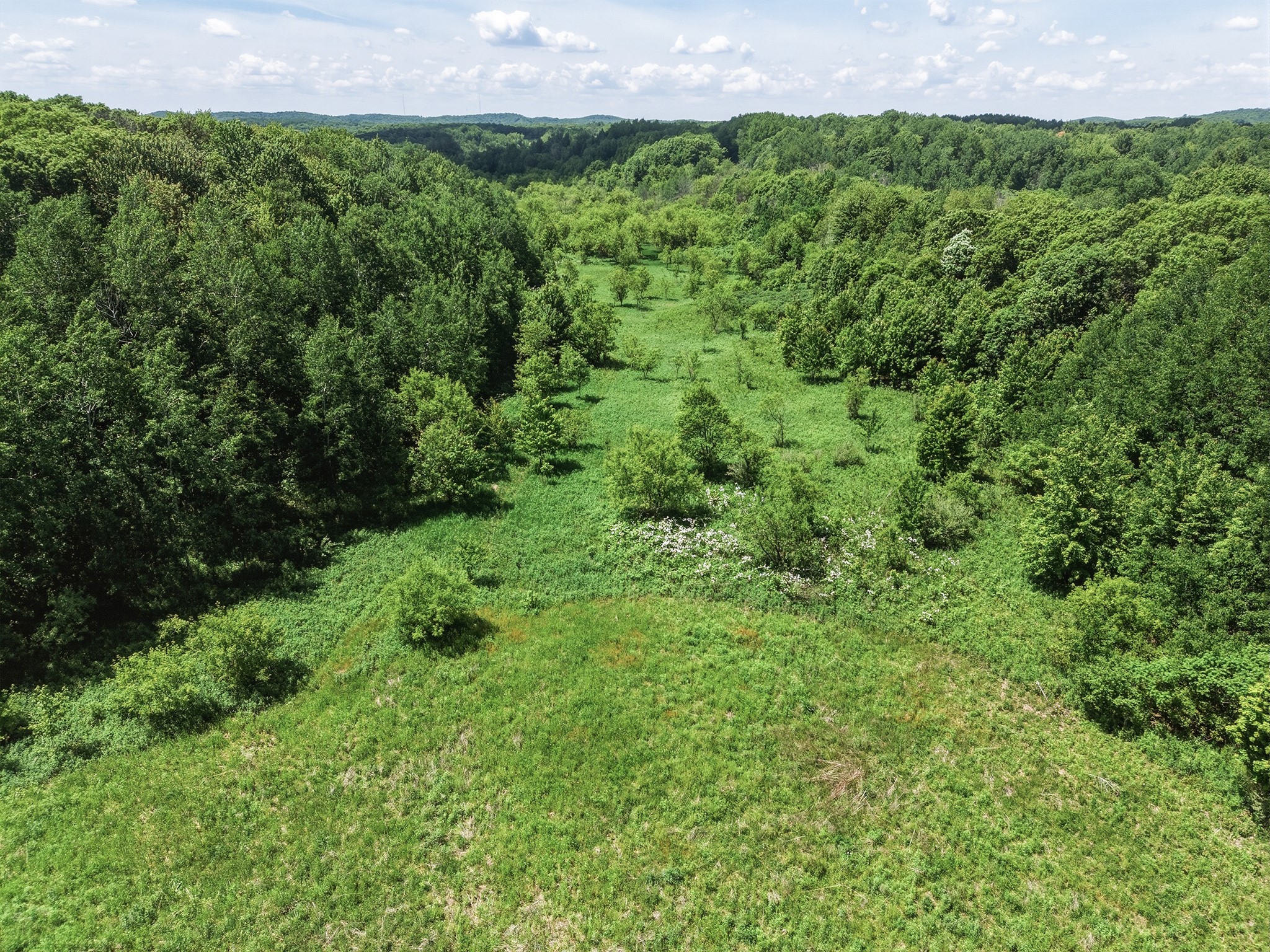 31.69 Acres 80th Avenue Property Photo 15