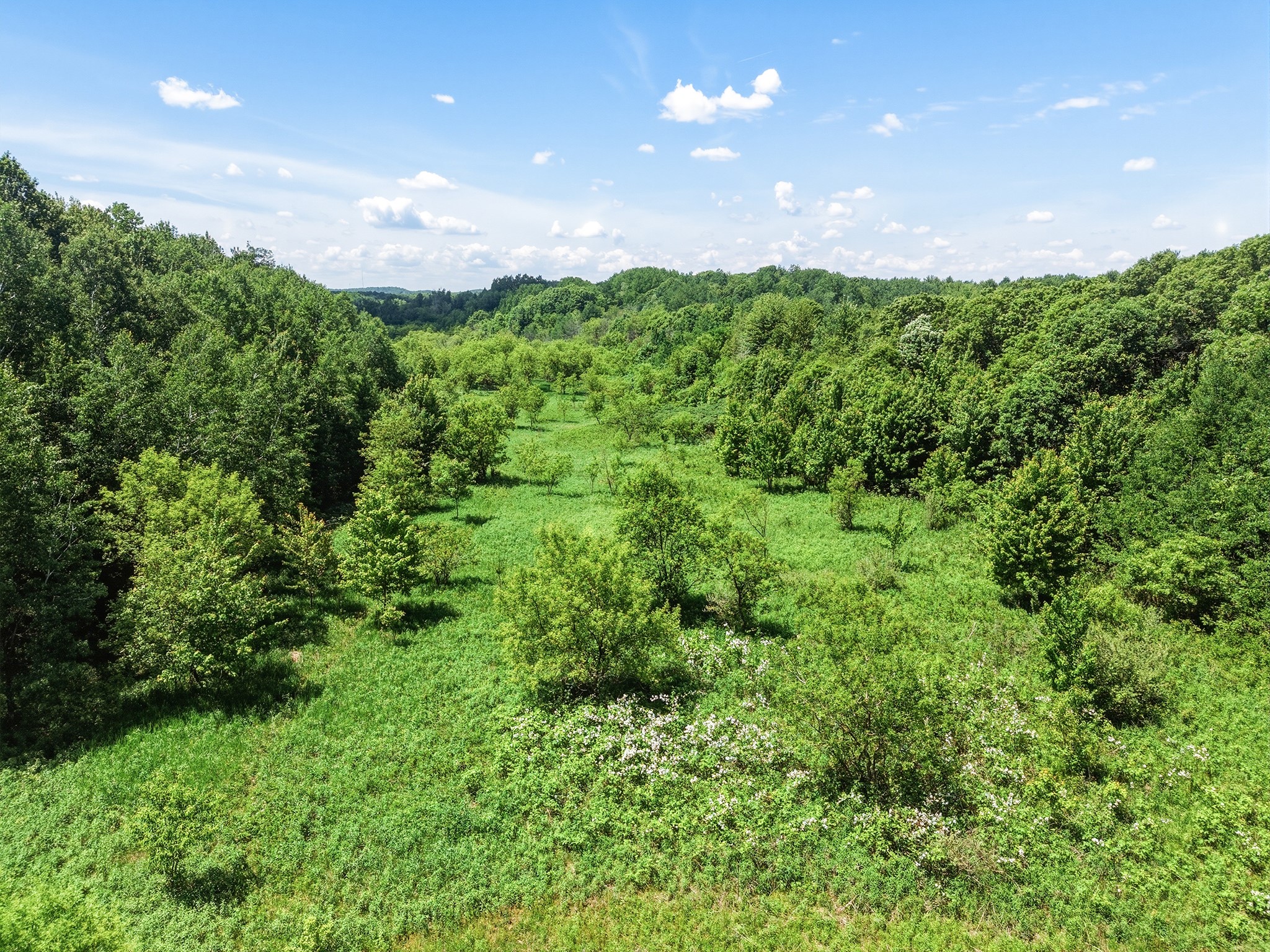 31.69 Acres 80th Avenue Property Photo 16