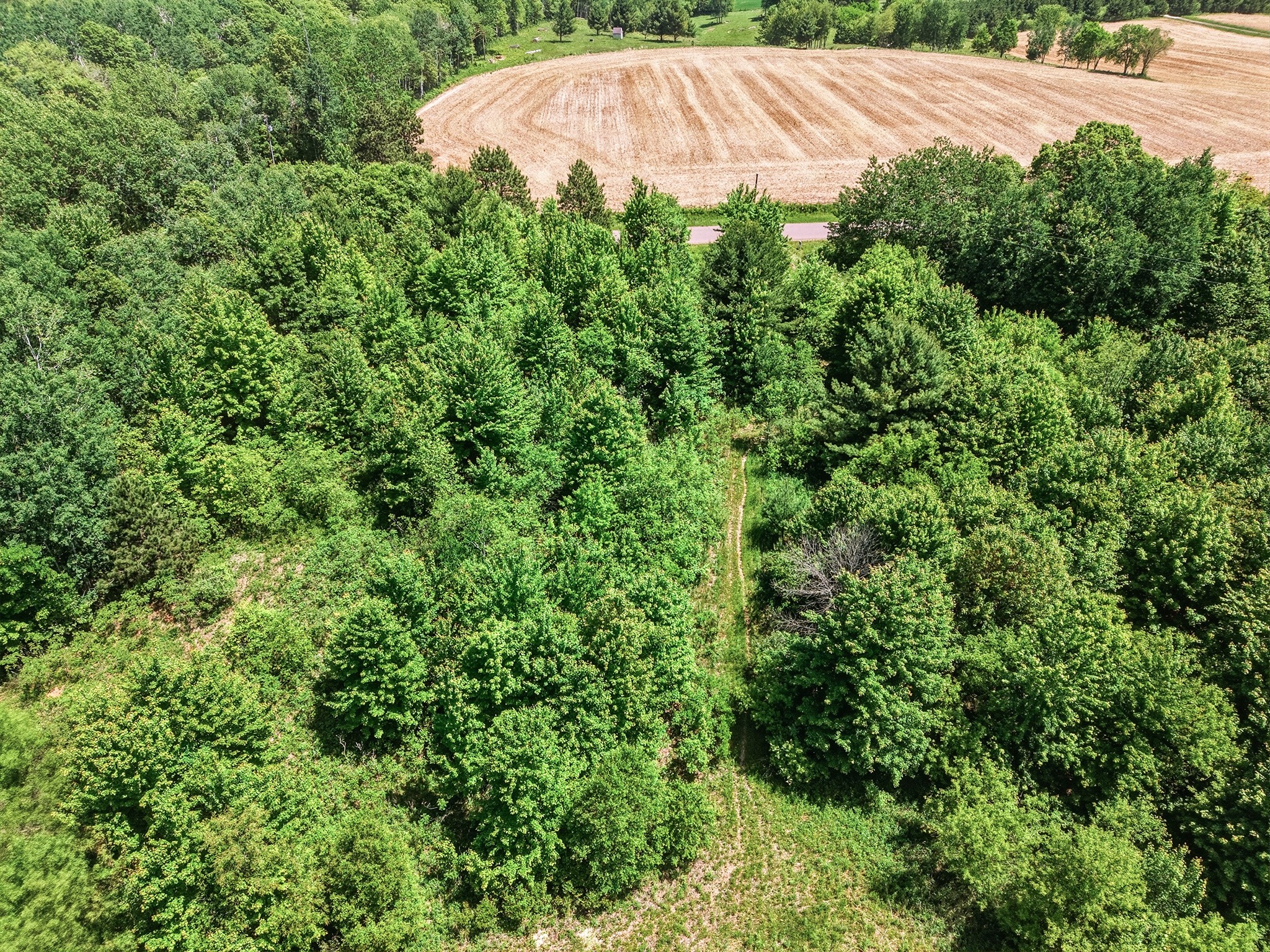 31.69 Acres 80th Avenue Property Photo 17