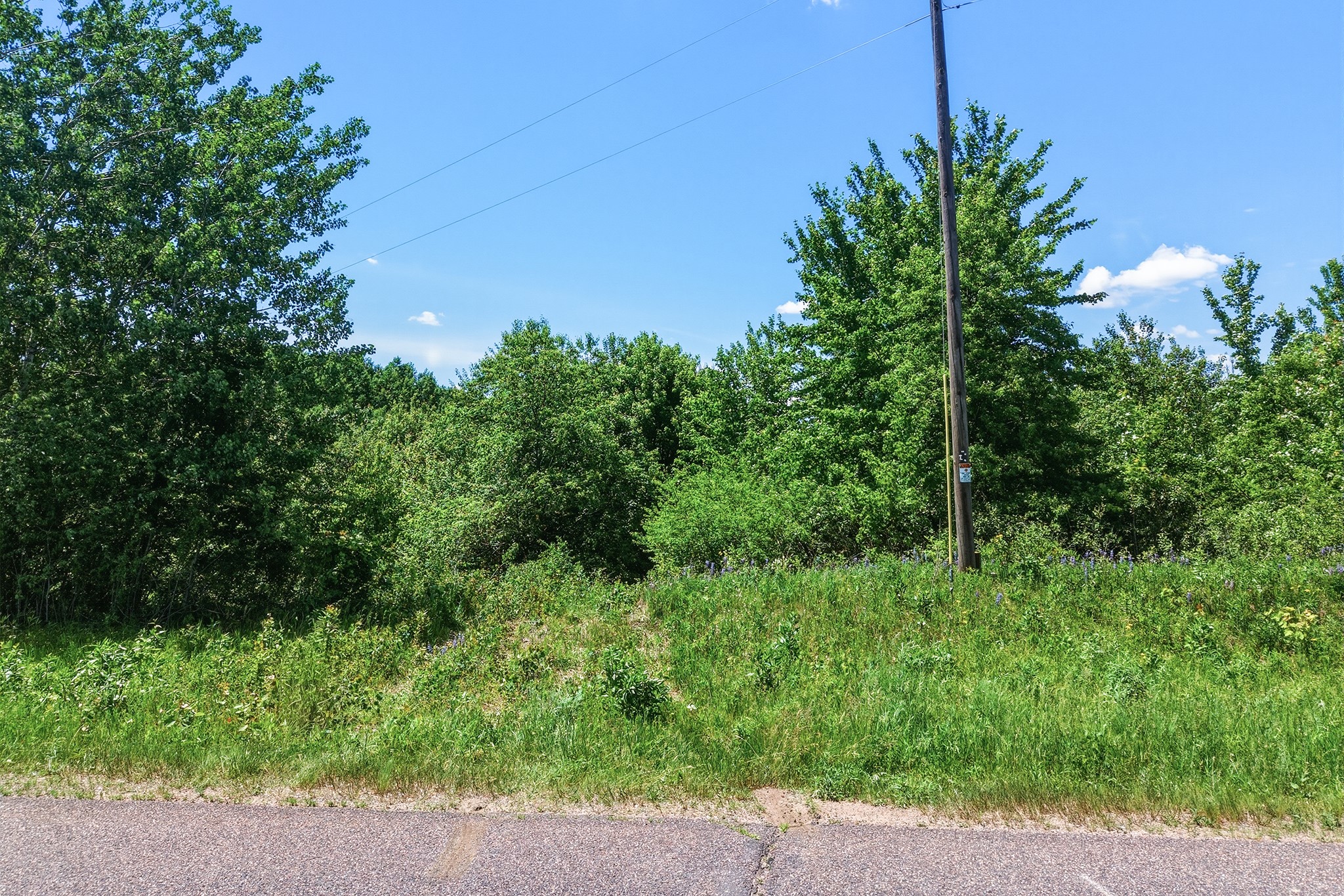 31.69 Acres 80th Avenue Property Photo 18