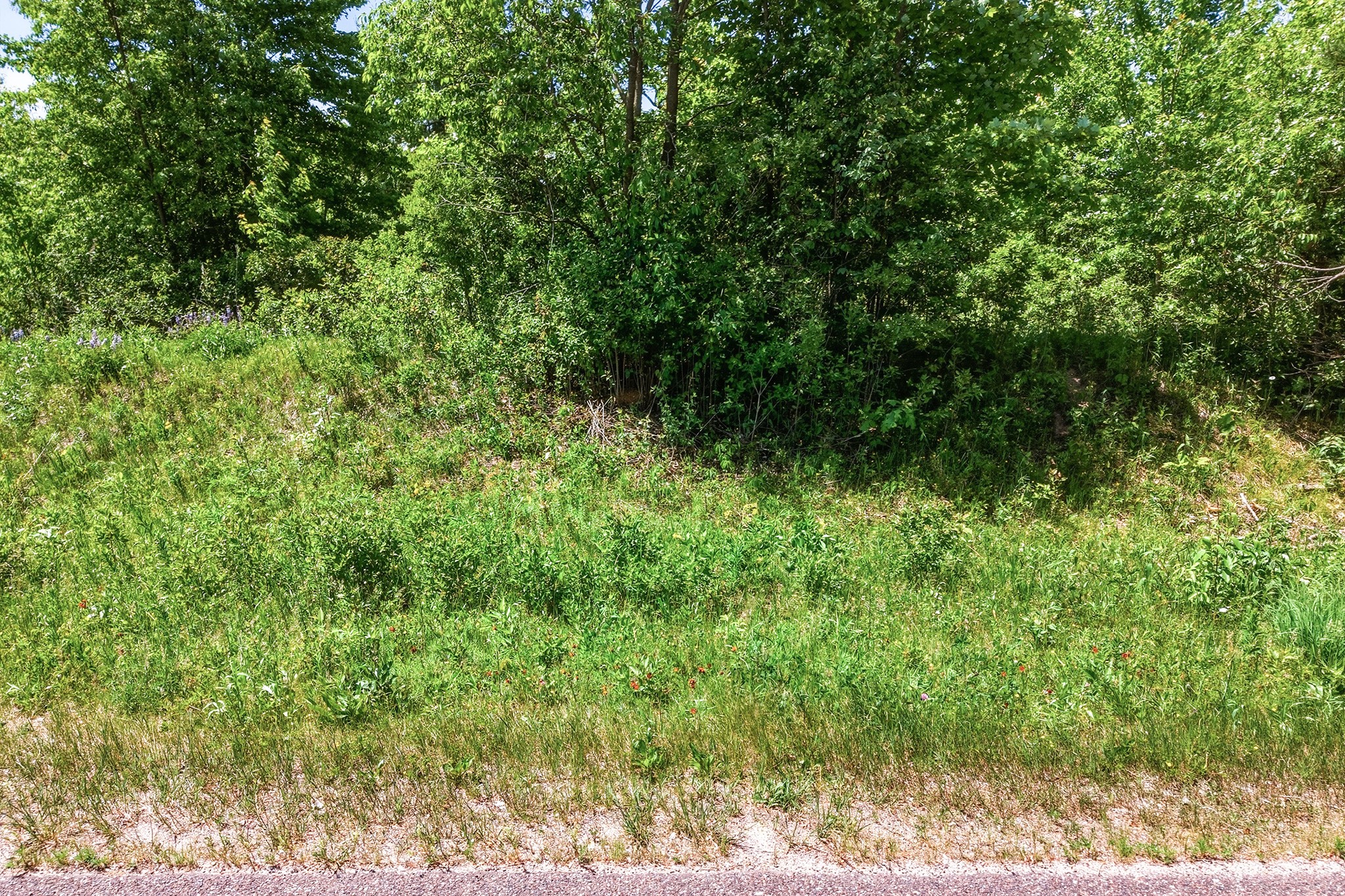 31.69 Acres 80th Avenue Property Photo 19