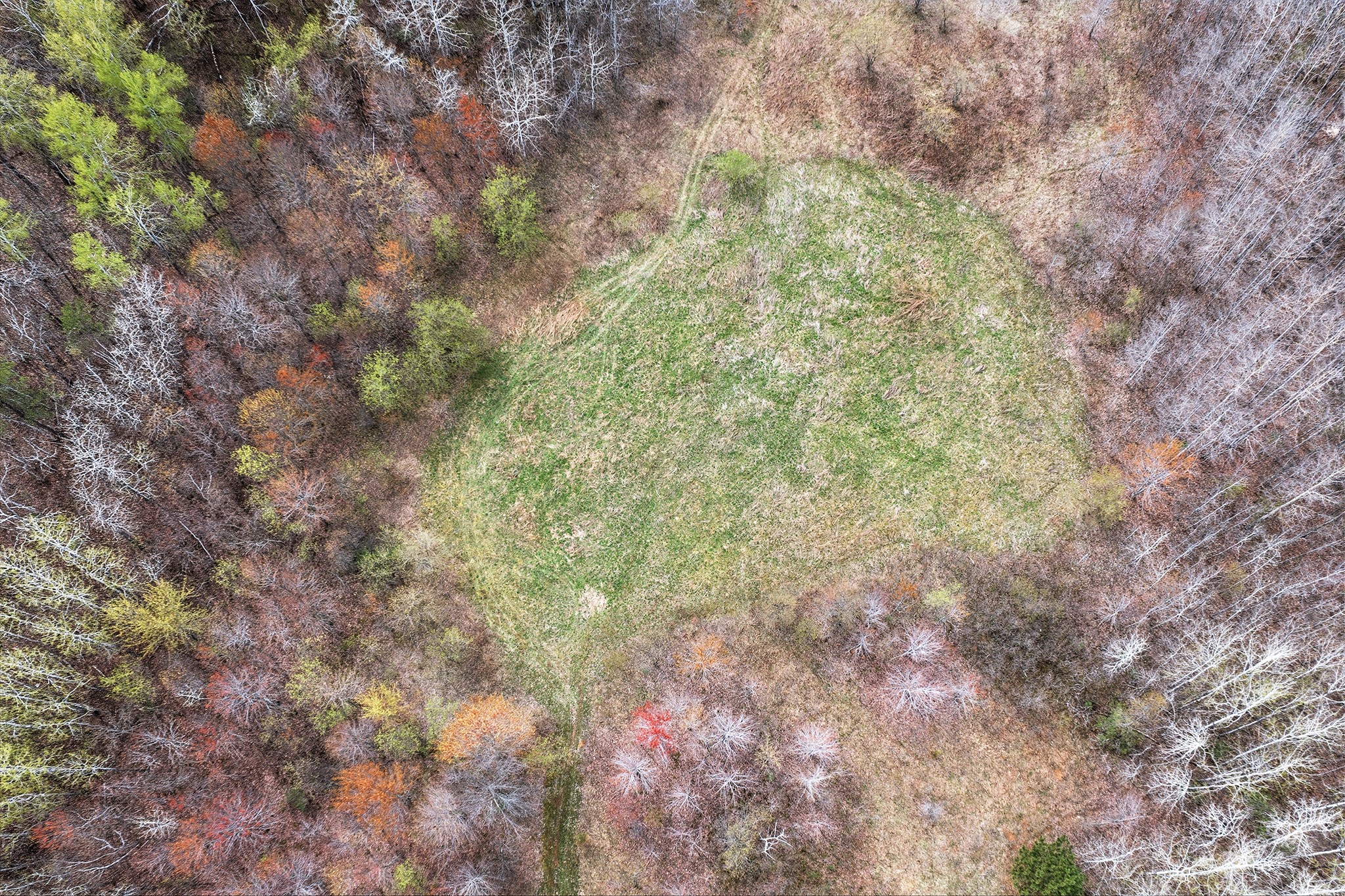31.69 Acres 80th Avenue Property Photo 32