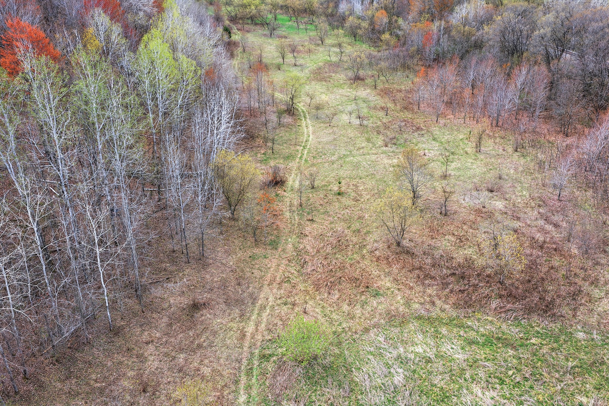 31.69 Acres 80th Avenue Property Photo 33