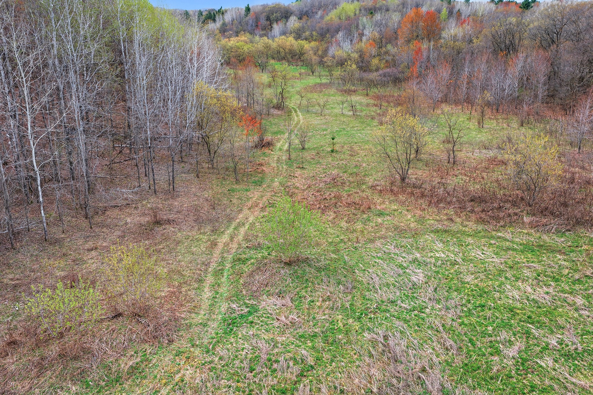 31.69 Acres 80th Avenue Property Photo 34