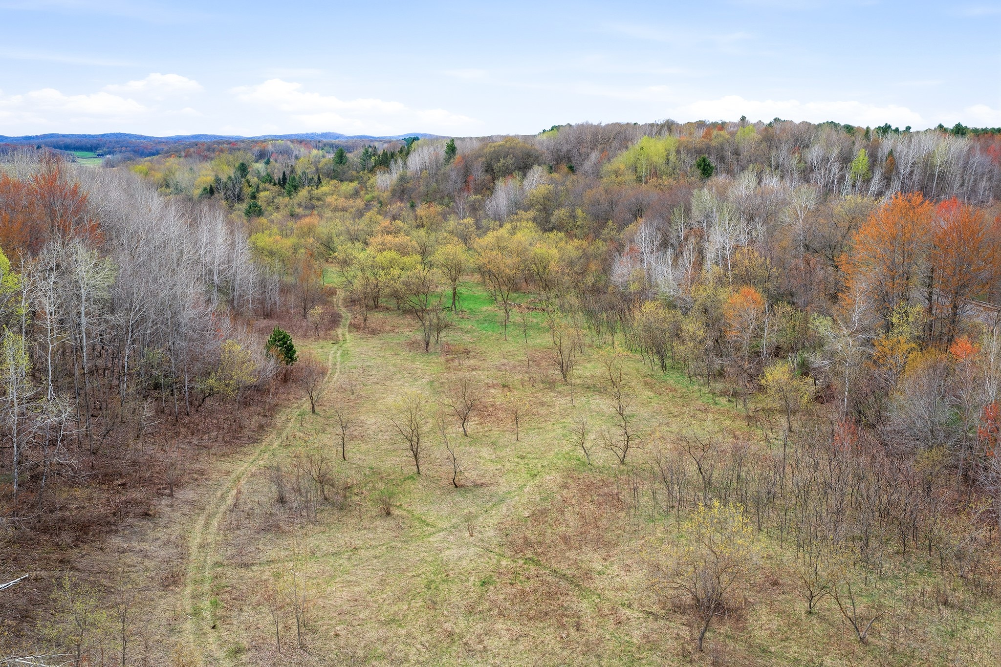 31.69 Acres 80th Avenue Property Photo 35