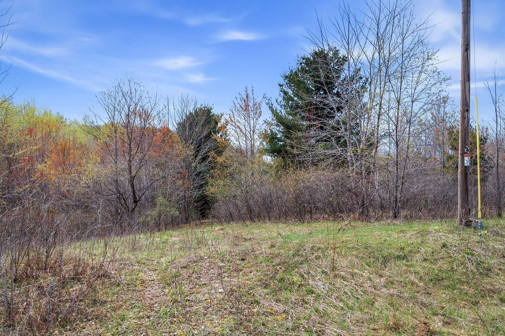 31.69 Acres 80th Avenue Property Photo 37