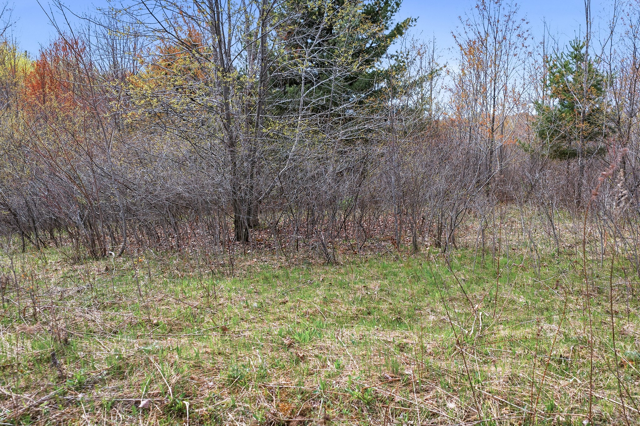 31.69 Acres 80th Avenue Property Photo 39