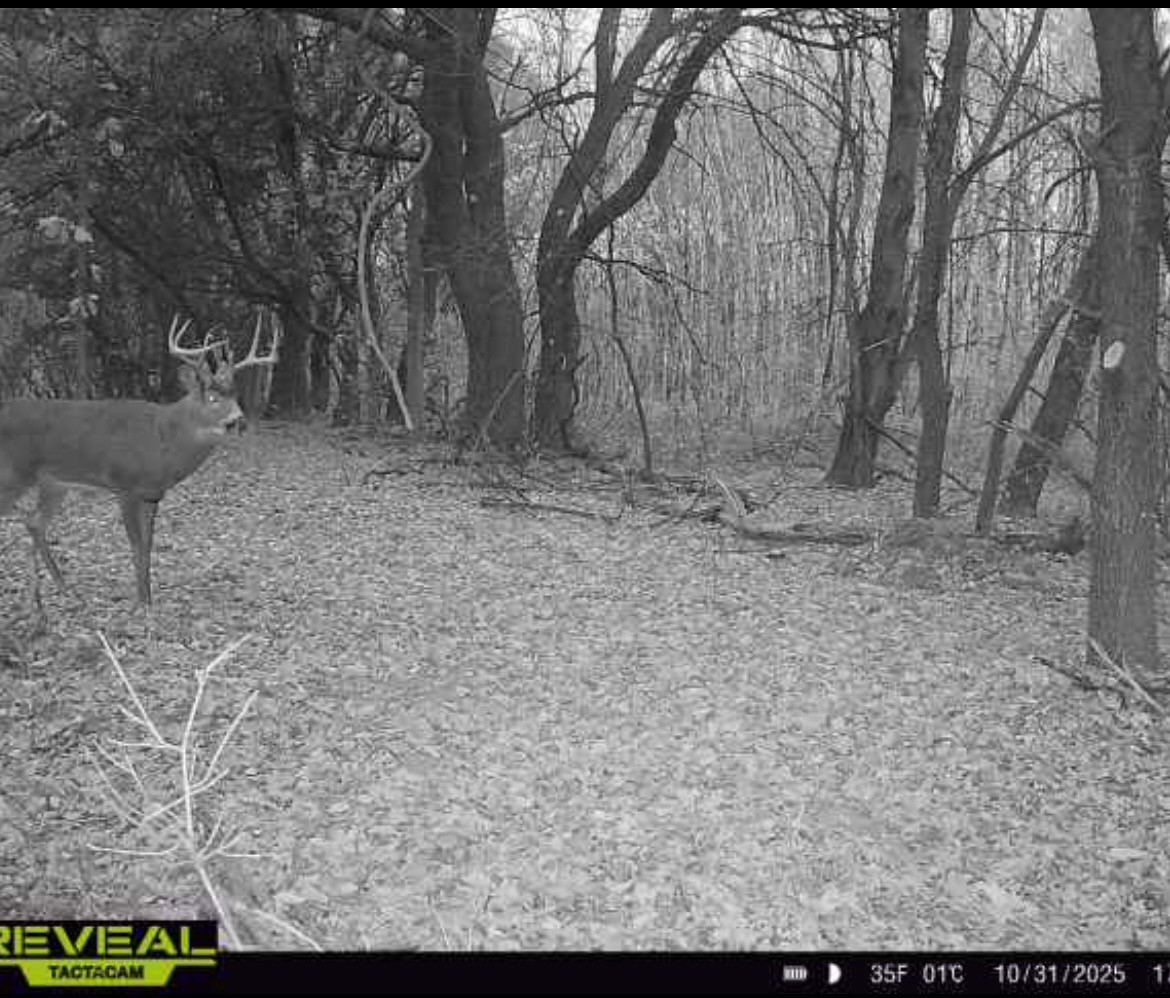 31.69 Acres 80th Avenue Property Photo 40