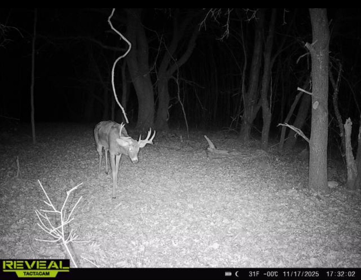 31.69 Acres 80th Avenue Property Photo 41