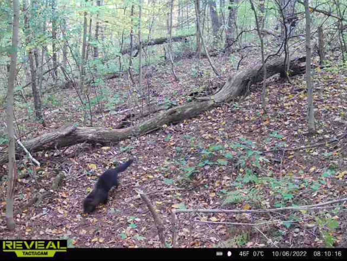31.69 Acres 80th Avenue Property Photo 47