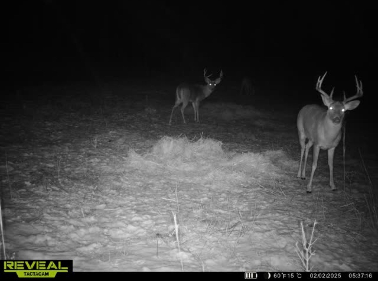 31.69 Acres 80th Avenue Property Photo 50