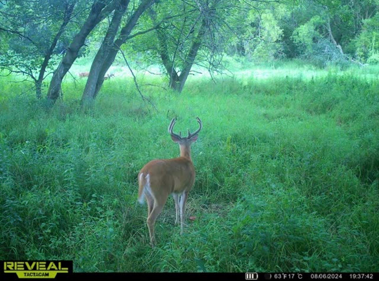 31.69 Acres 80th Avenue Property Photo 53