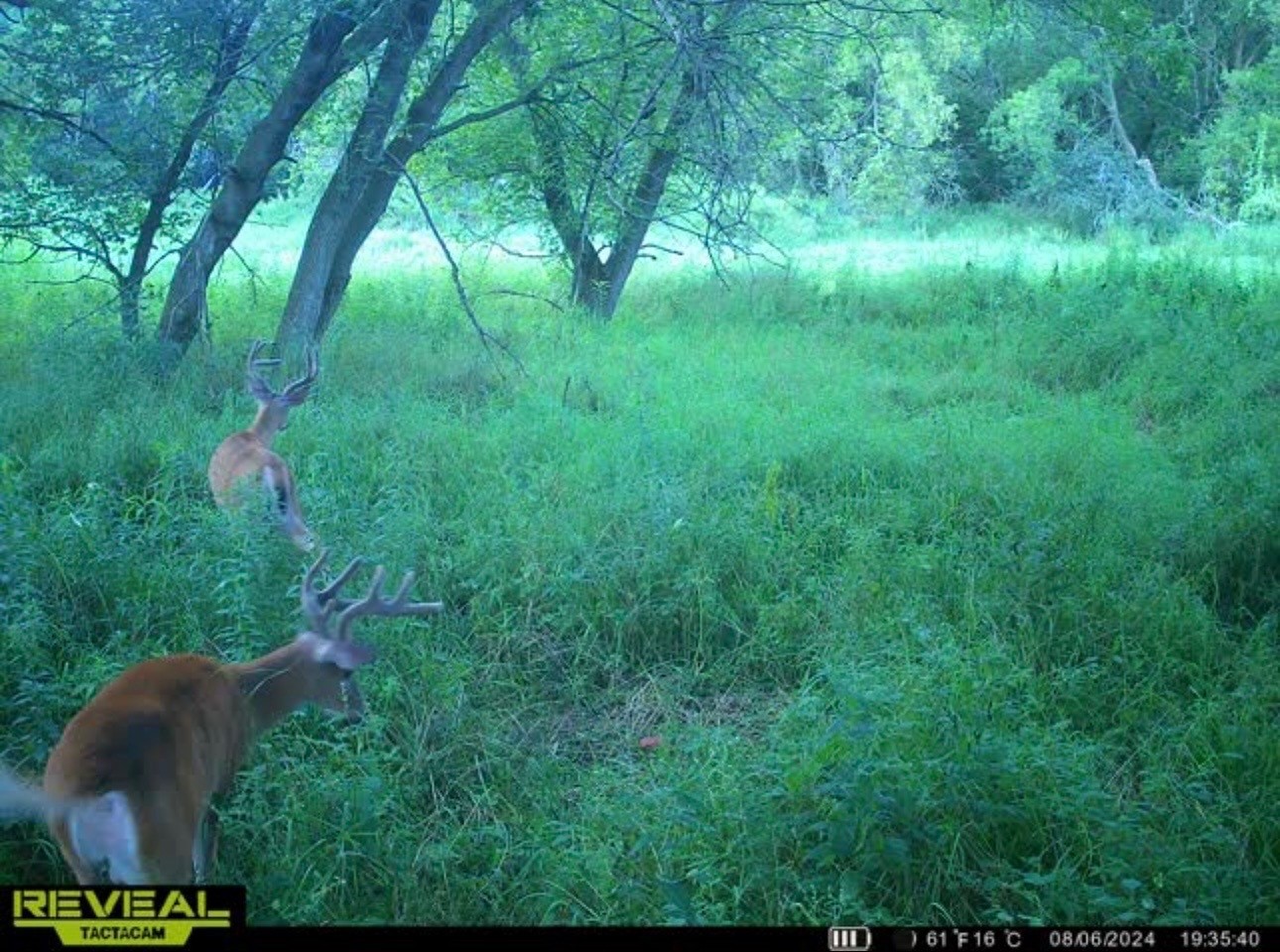 31.69 Acres 80th Avenue Property Photo 54