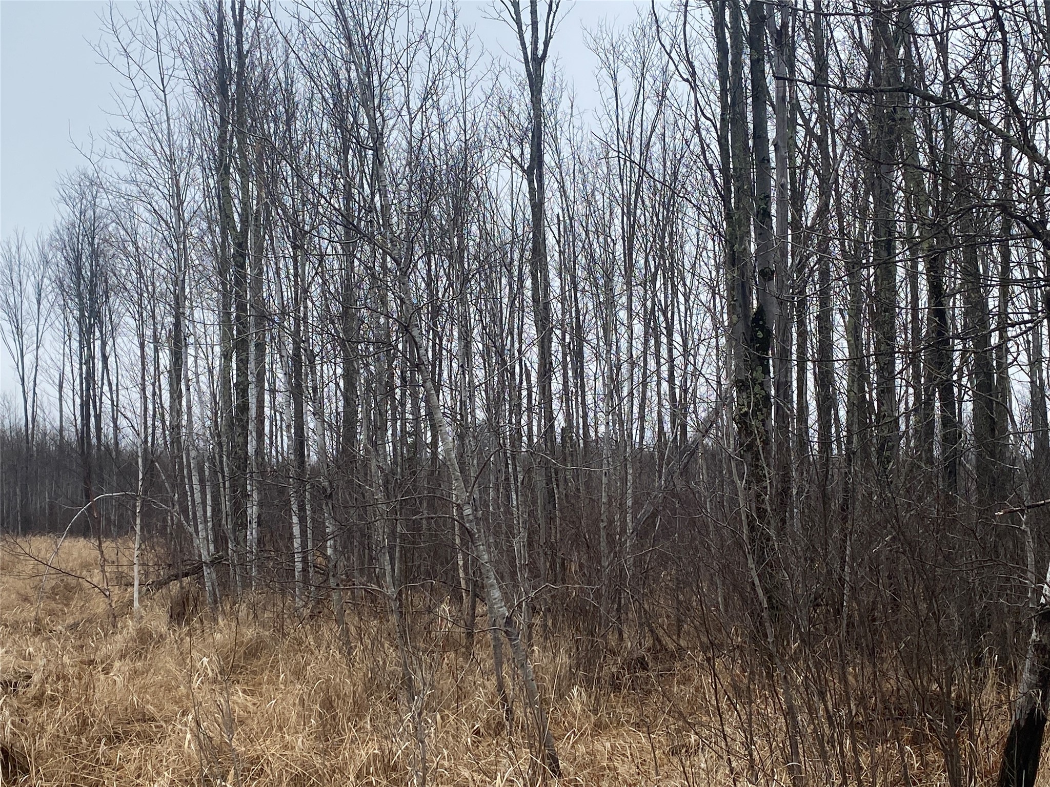 On Shauger Road Property Photo 3