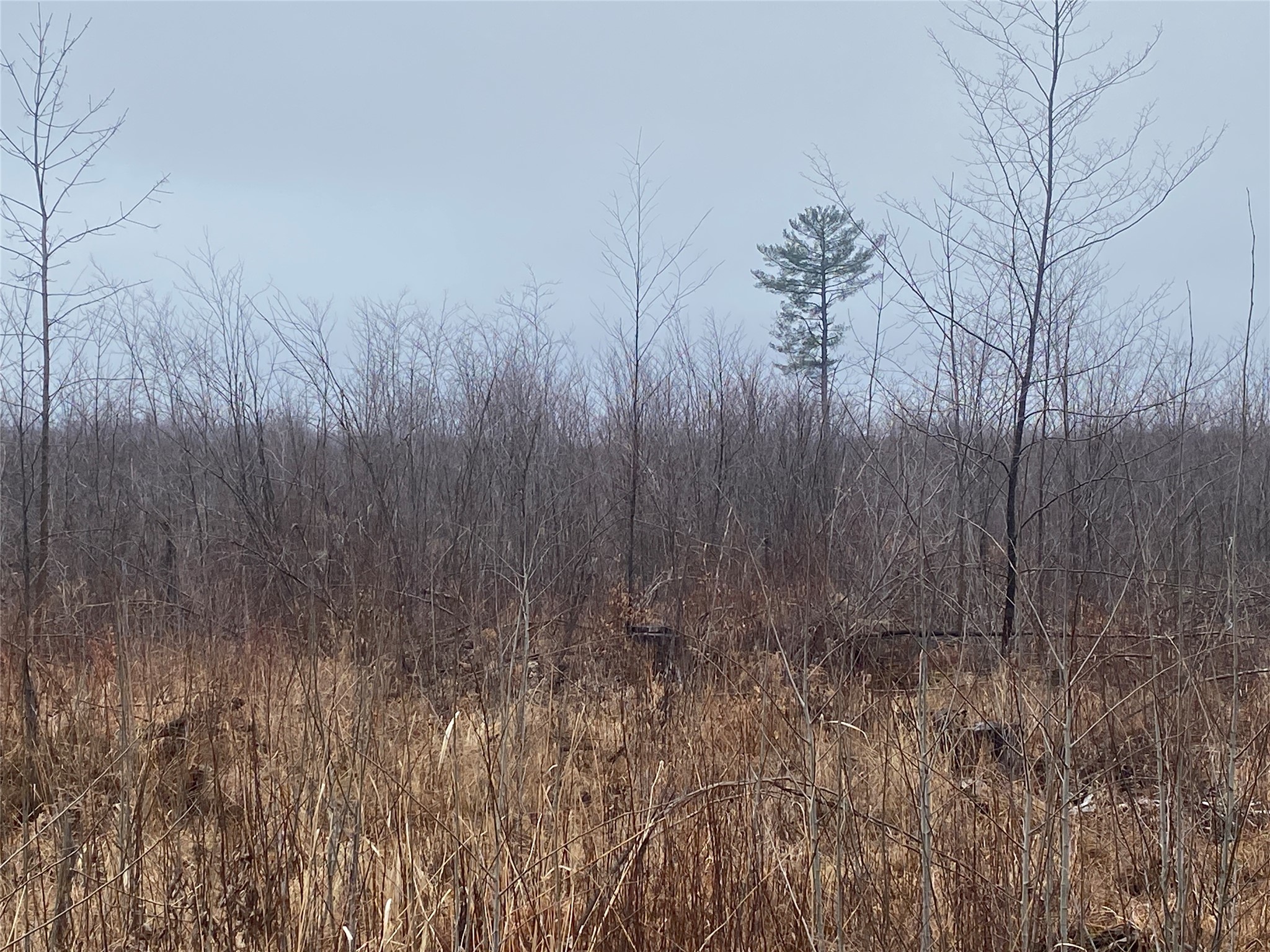 On Shauger Road Property Photo 5