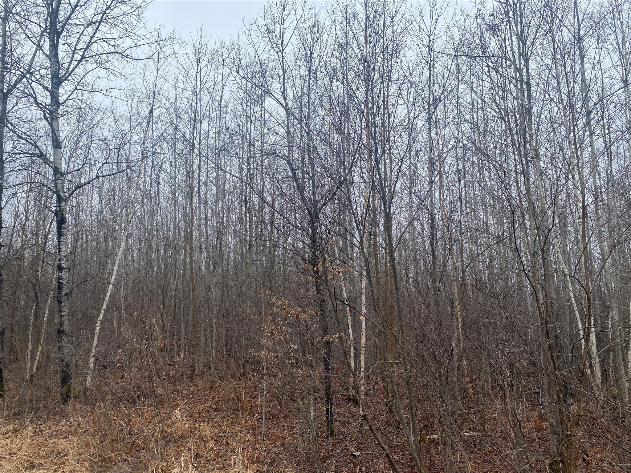 On Shauger Road Property Photo 6
