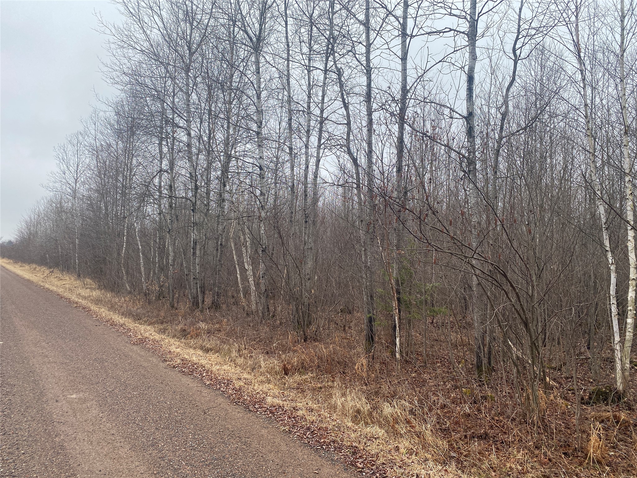 On Shauger Road Property Photo 1