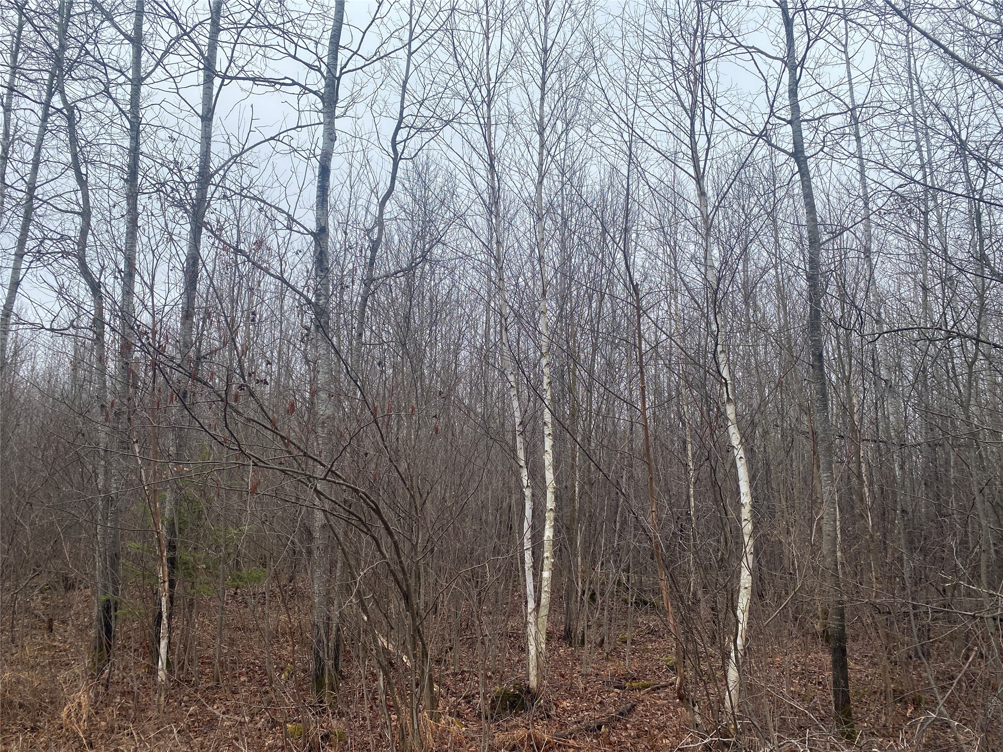 On Shauger Road Property Photo 2