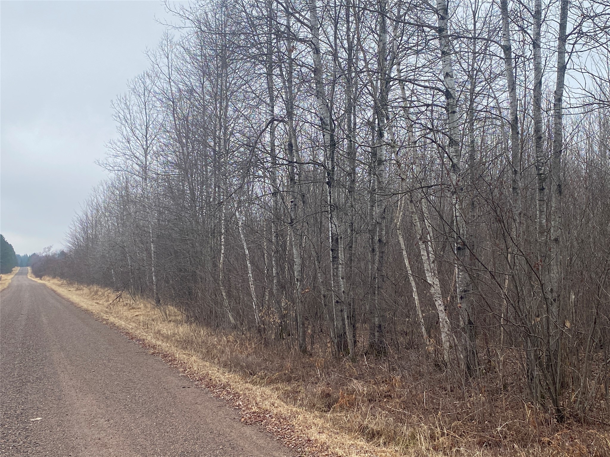 On Shauger Road Property Photo 3