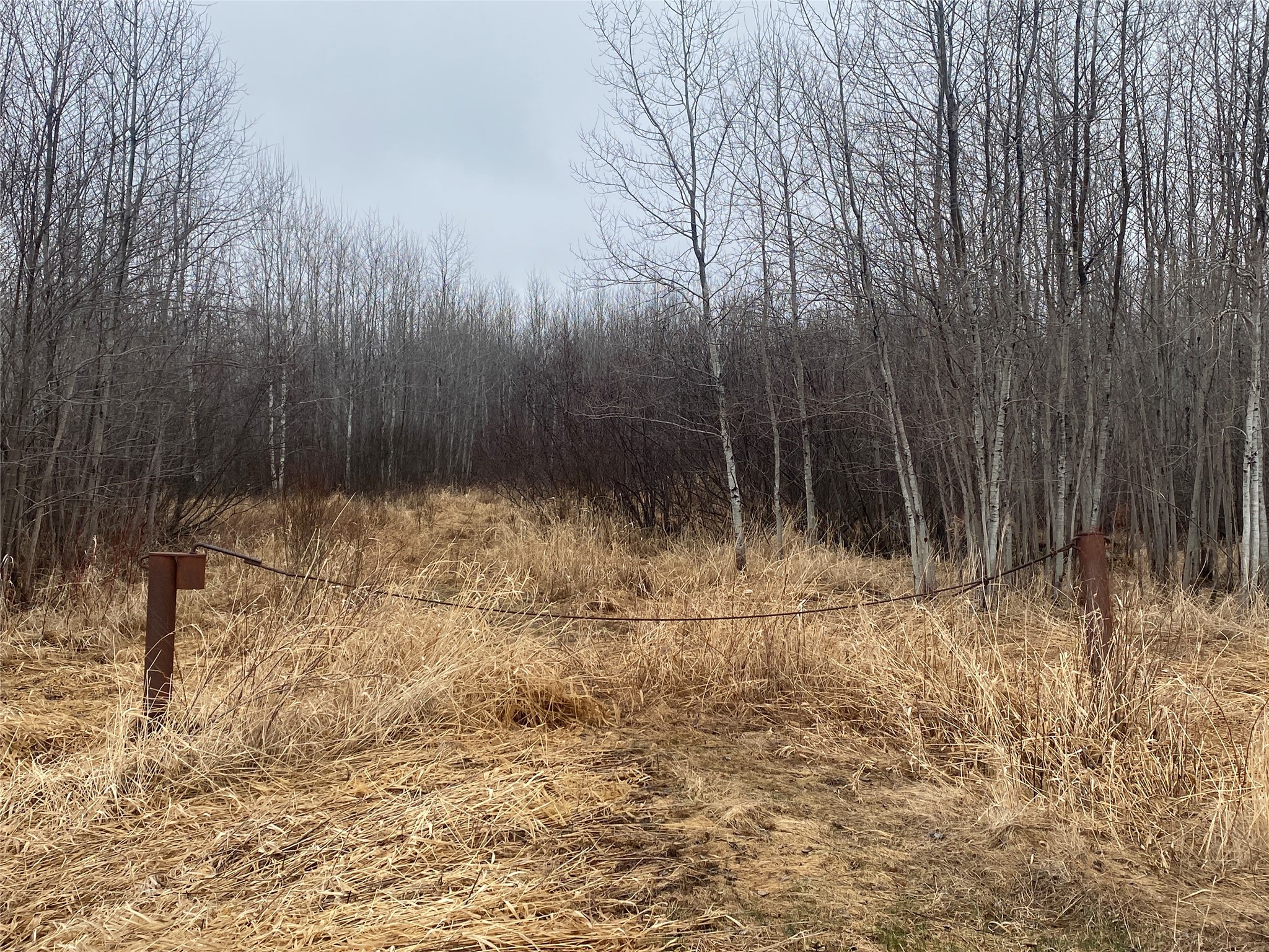 On Shauger Road Property Photo 4