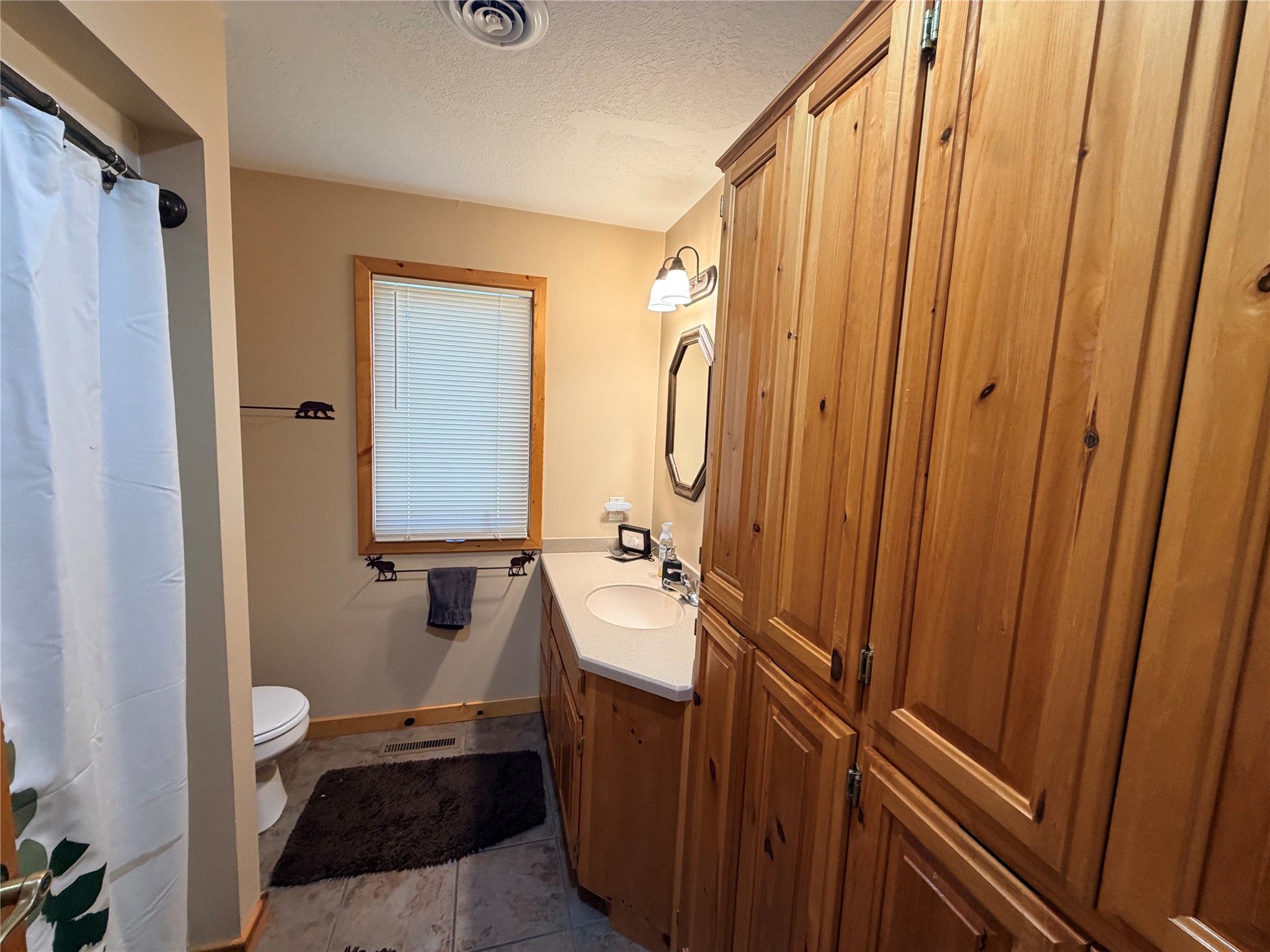 8097 Big Doctor Lake Road Property Photo 16